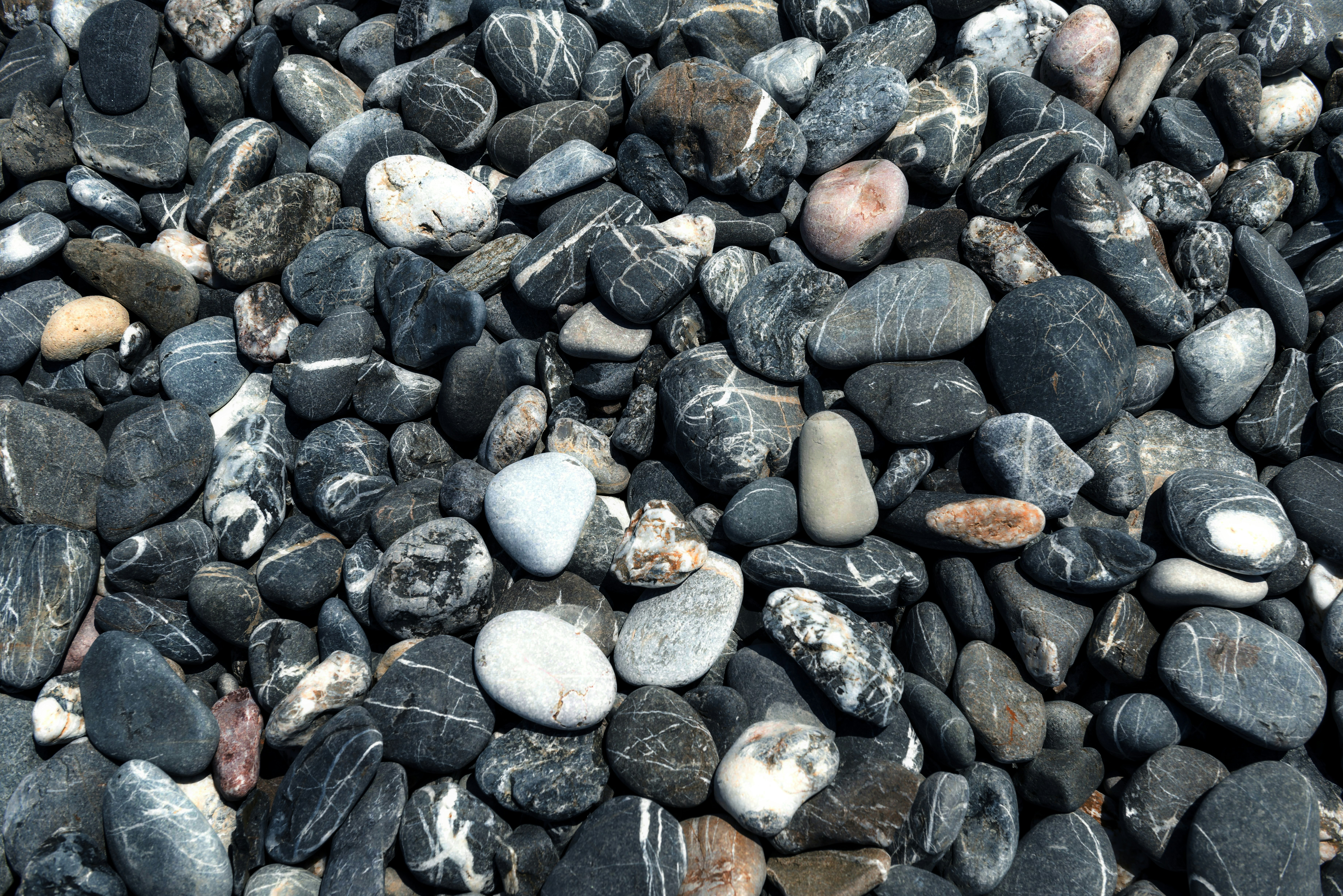 Photo by hamburgmeinefreundin