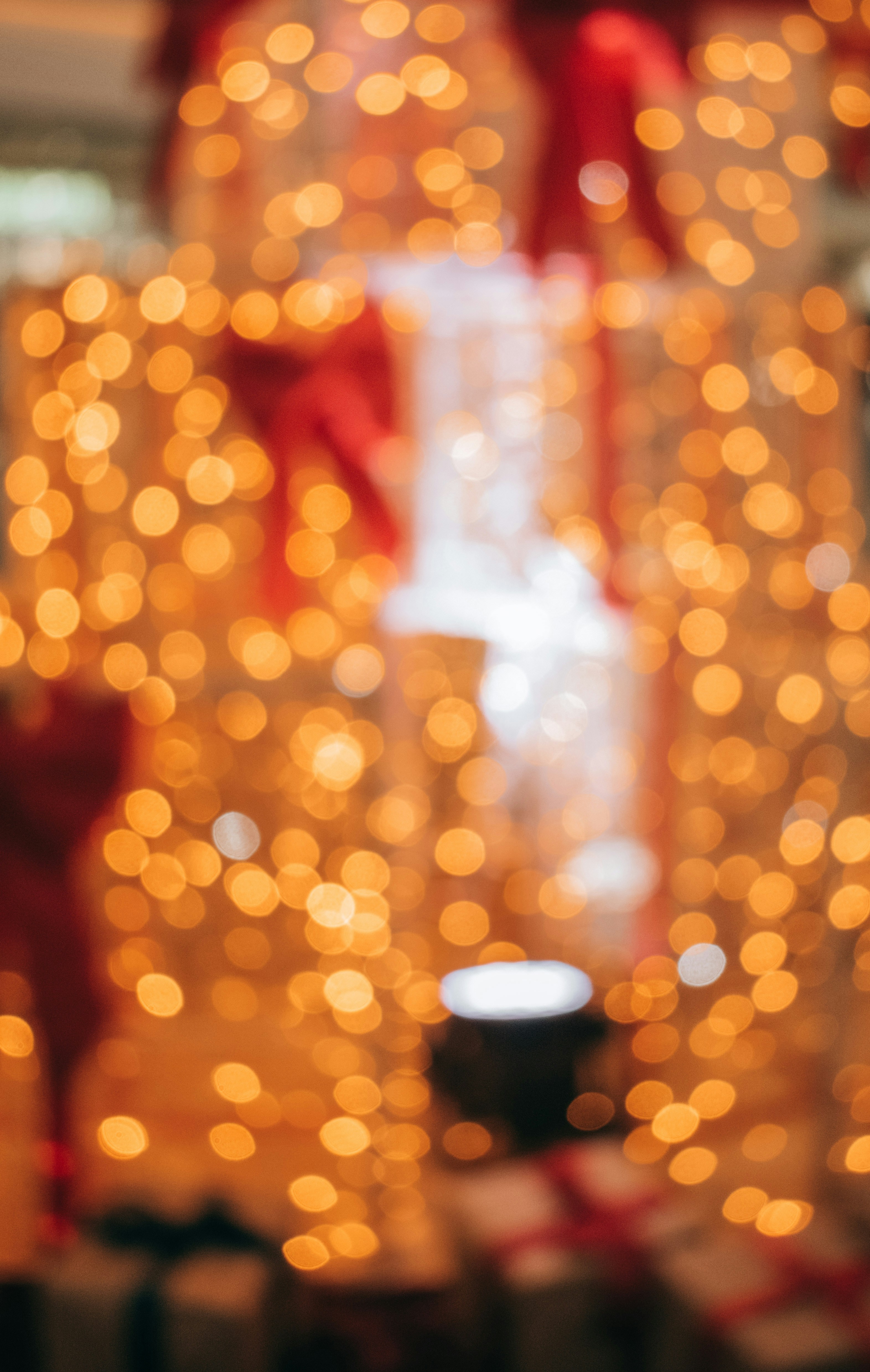 Photo by bilal_ayadi