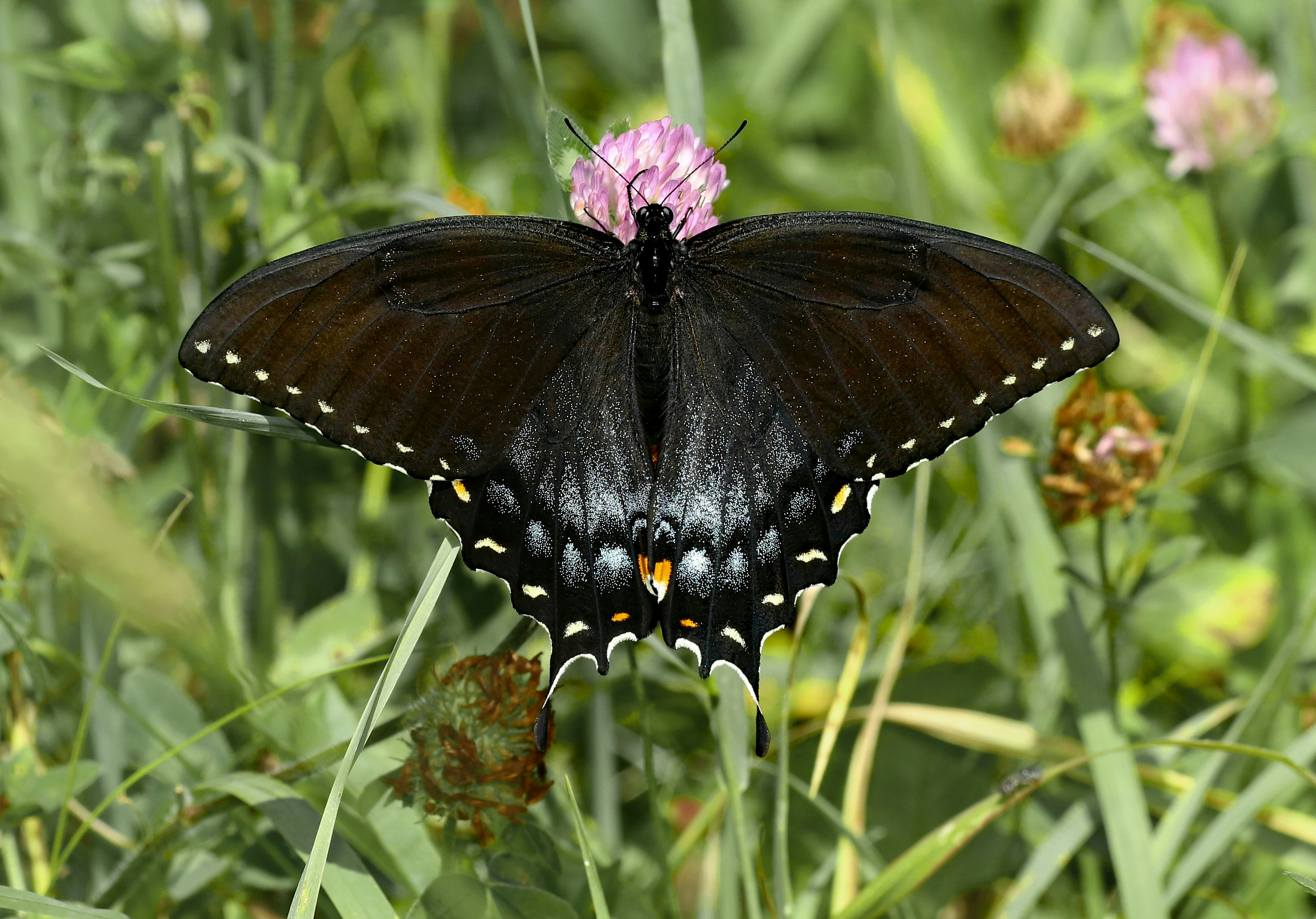 Photo by telliottmbamsc