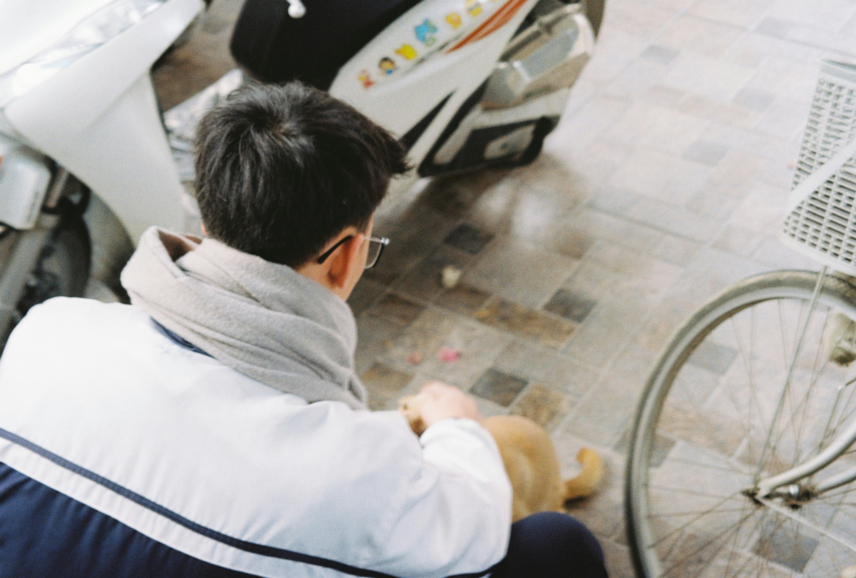 Photo by potatonorim