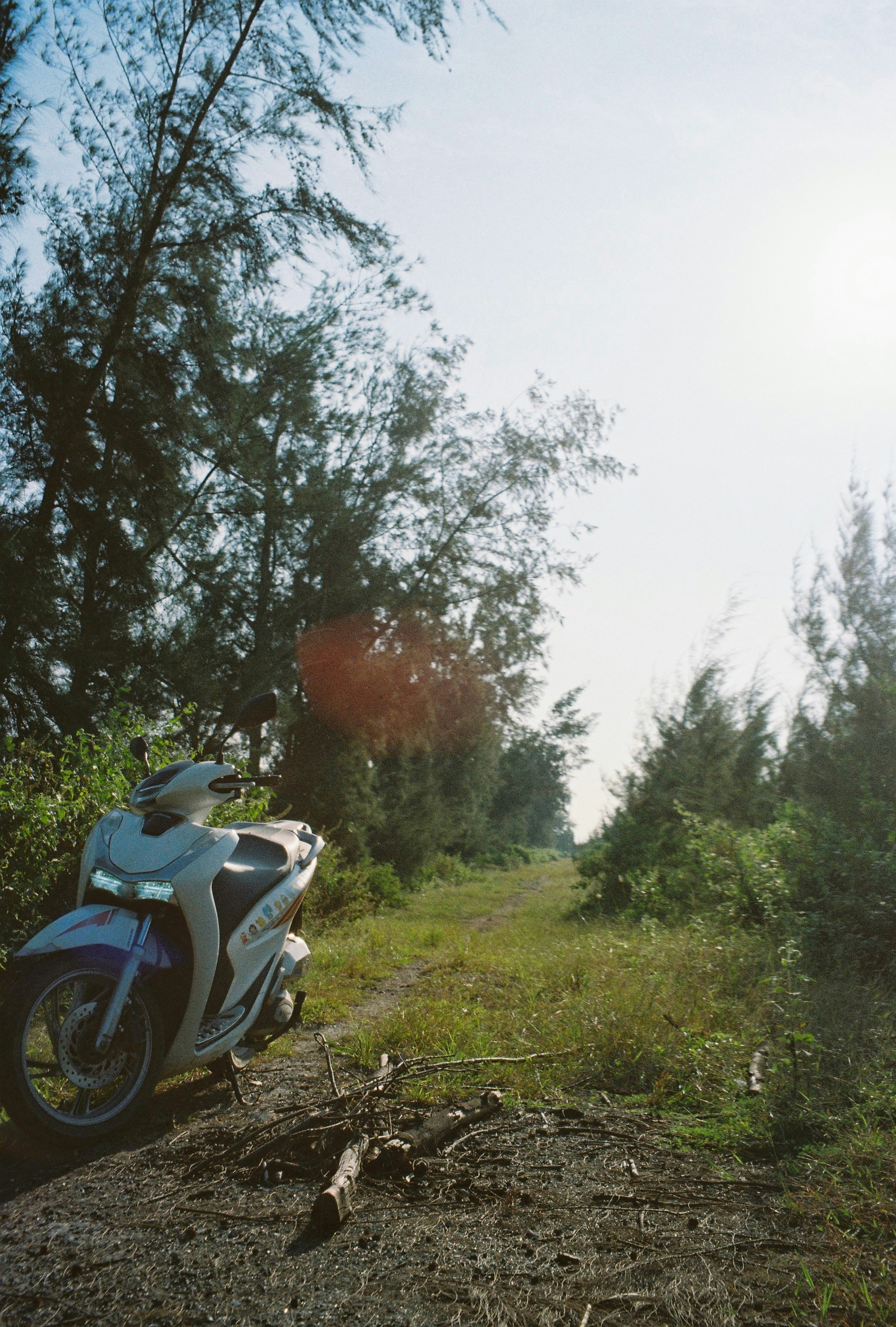 スクーターは木々の近くの土の道に駐車していました。