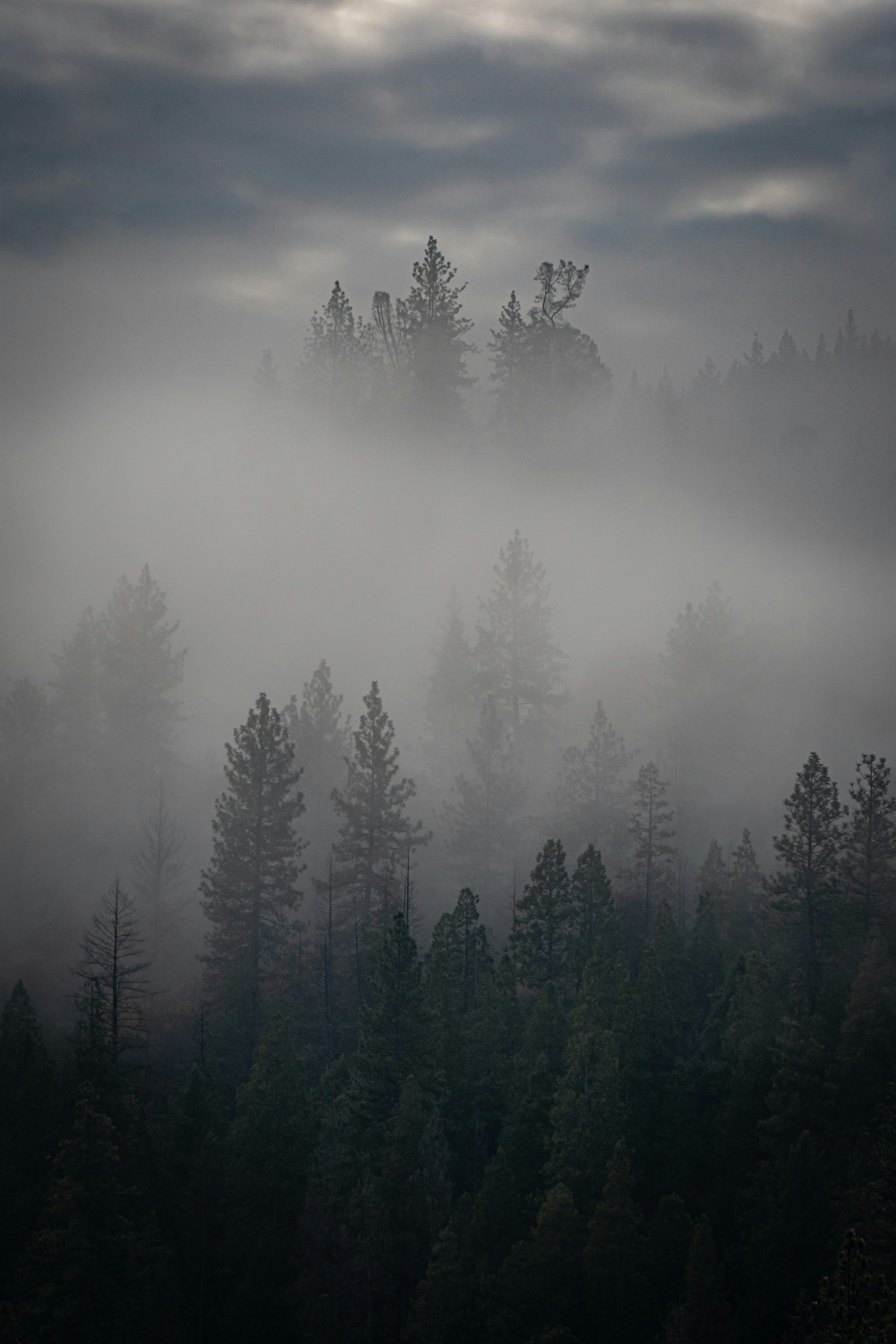 Photo by elisastonephotography