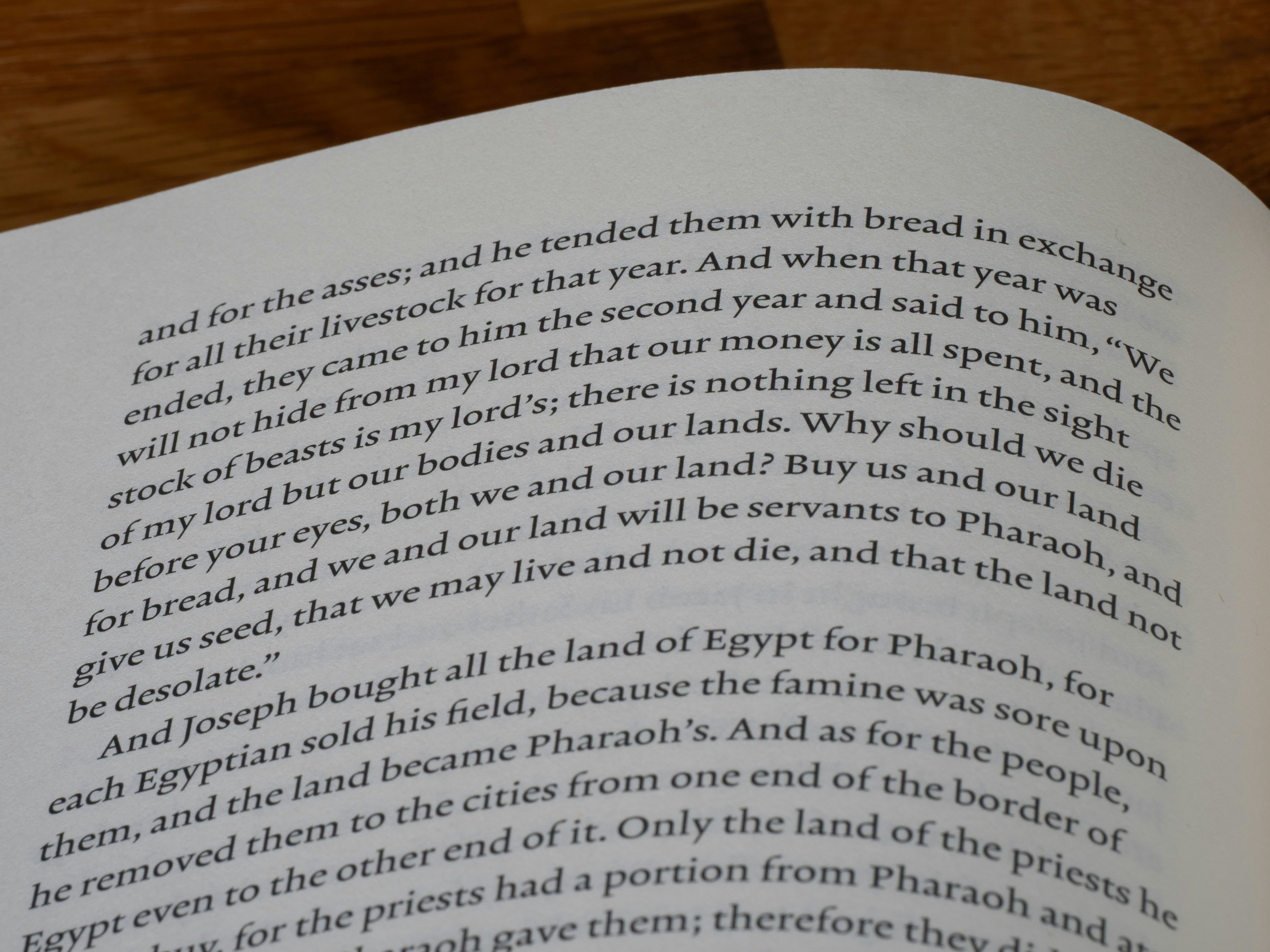 Close-up of text in an open book