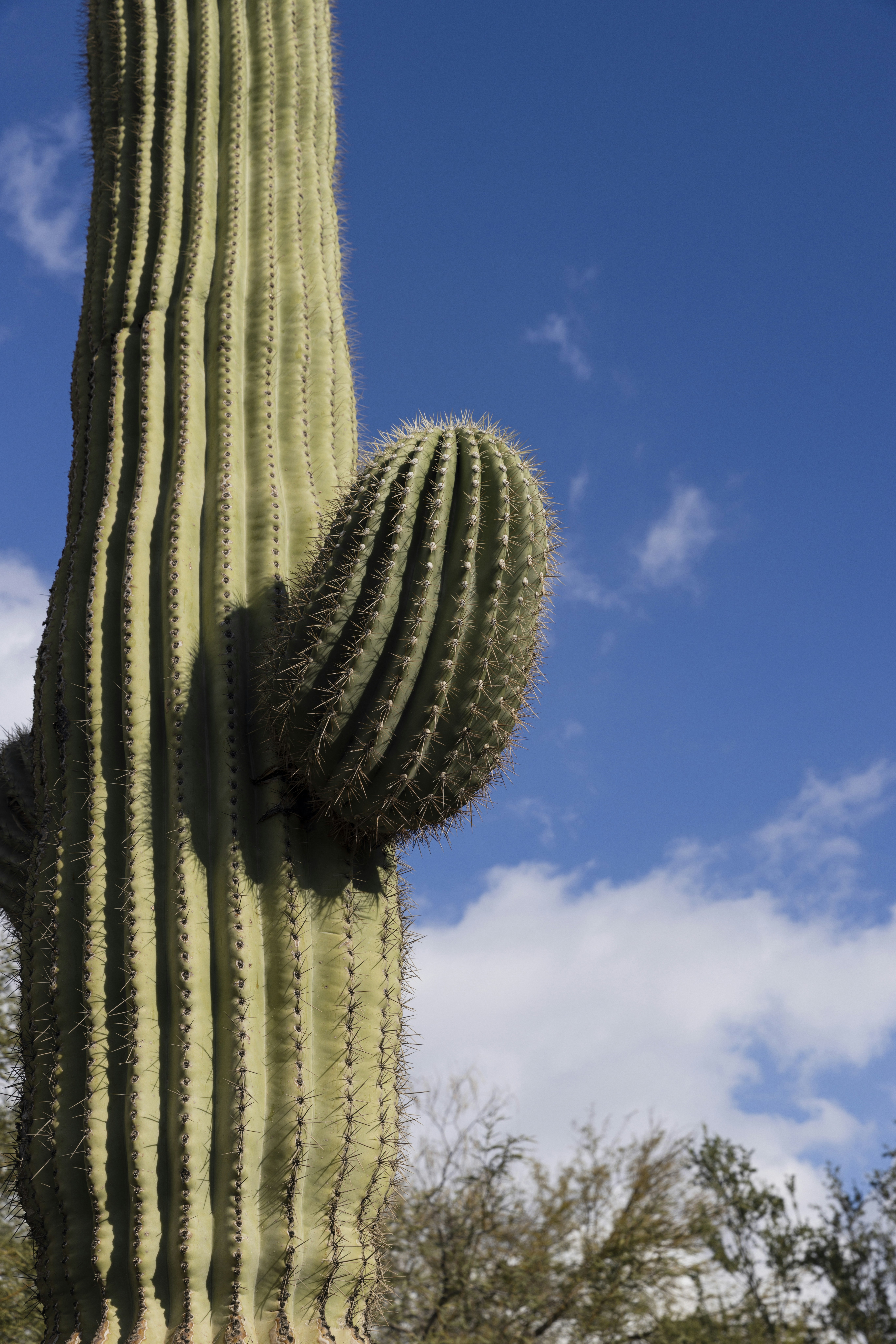 Photo by native7photo