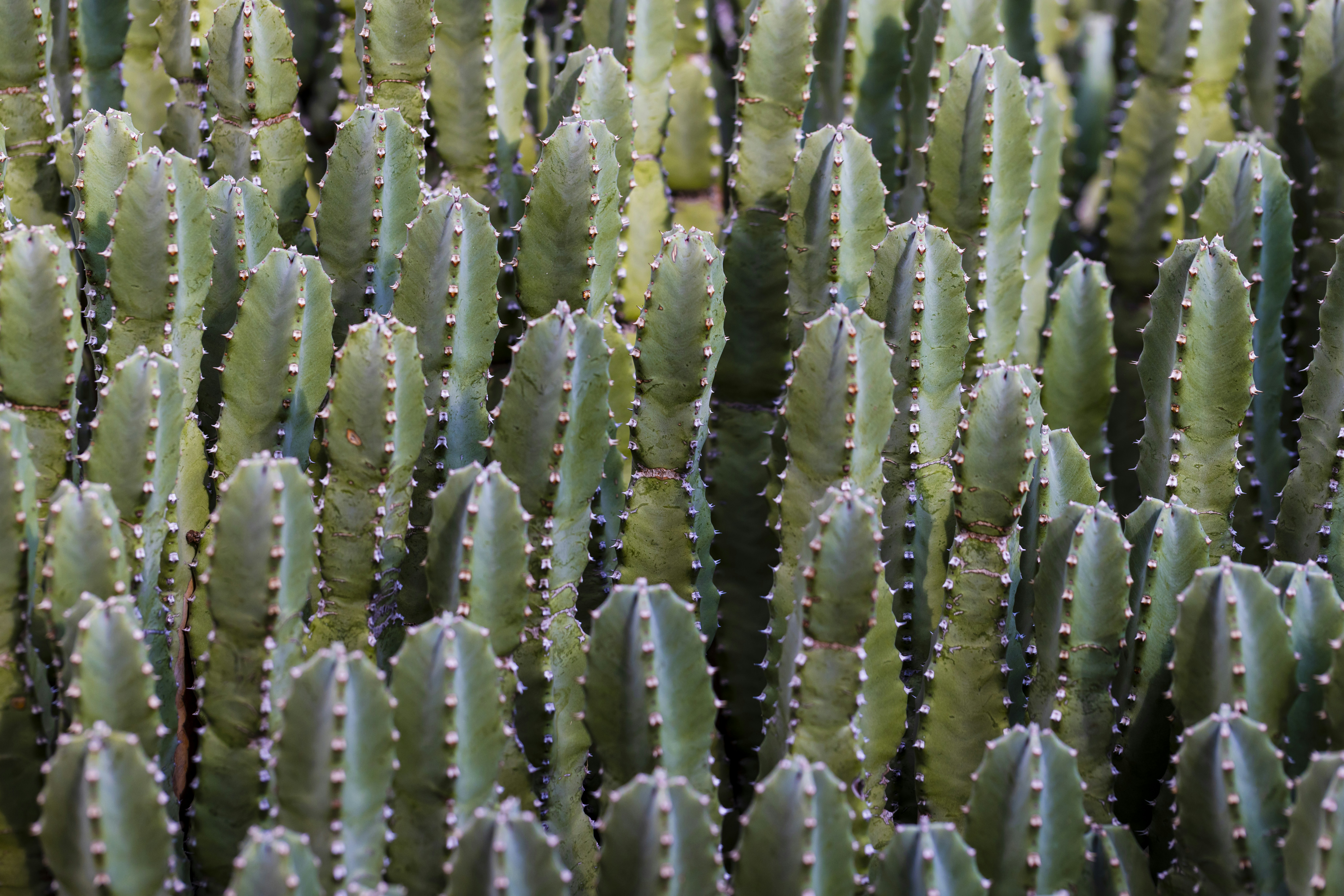 Photo by native7photo