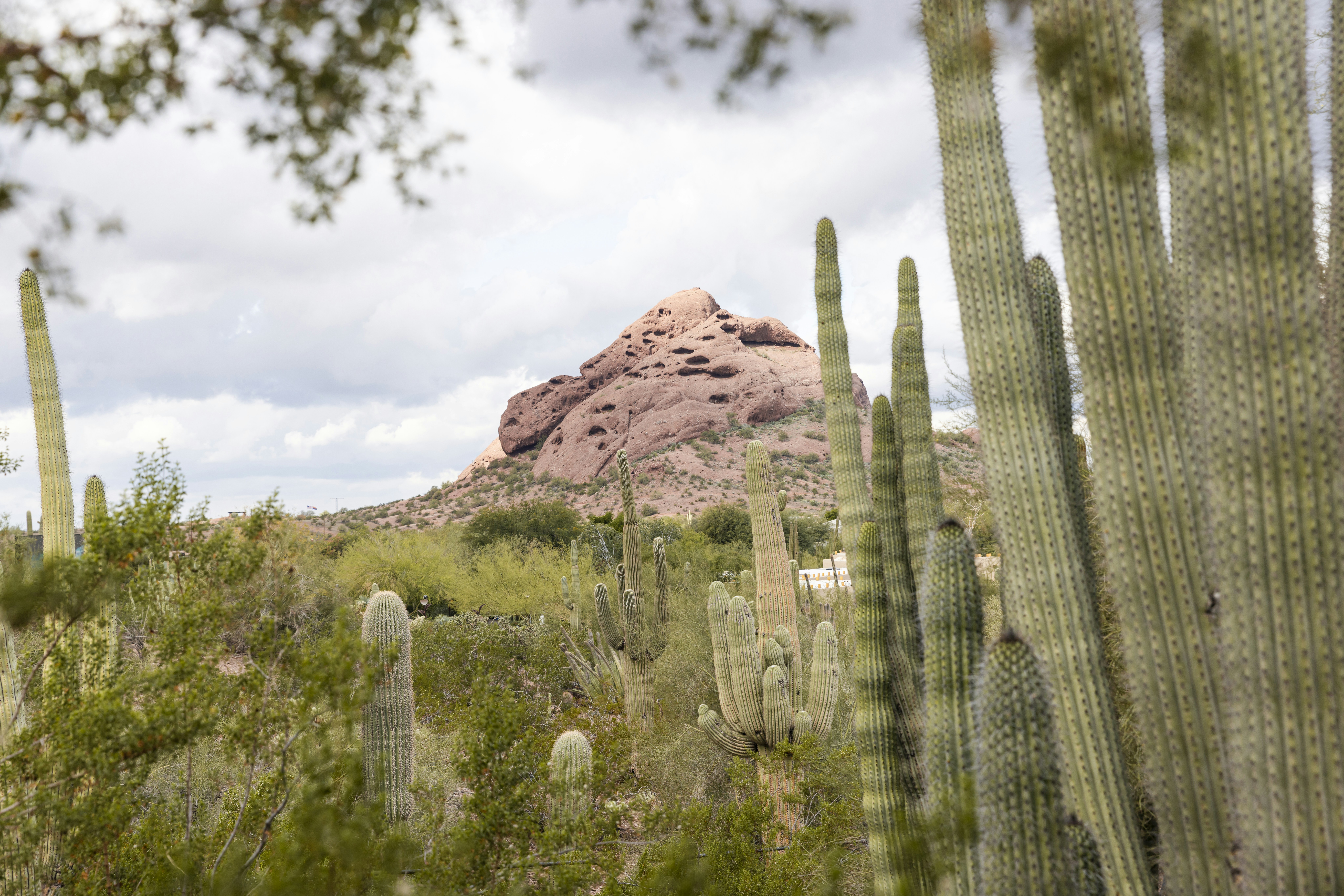 Photo by native7photo