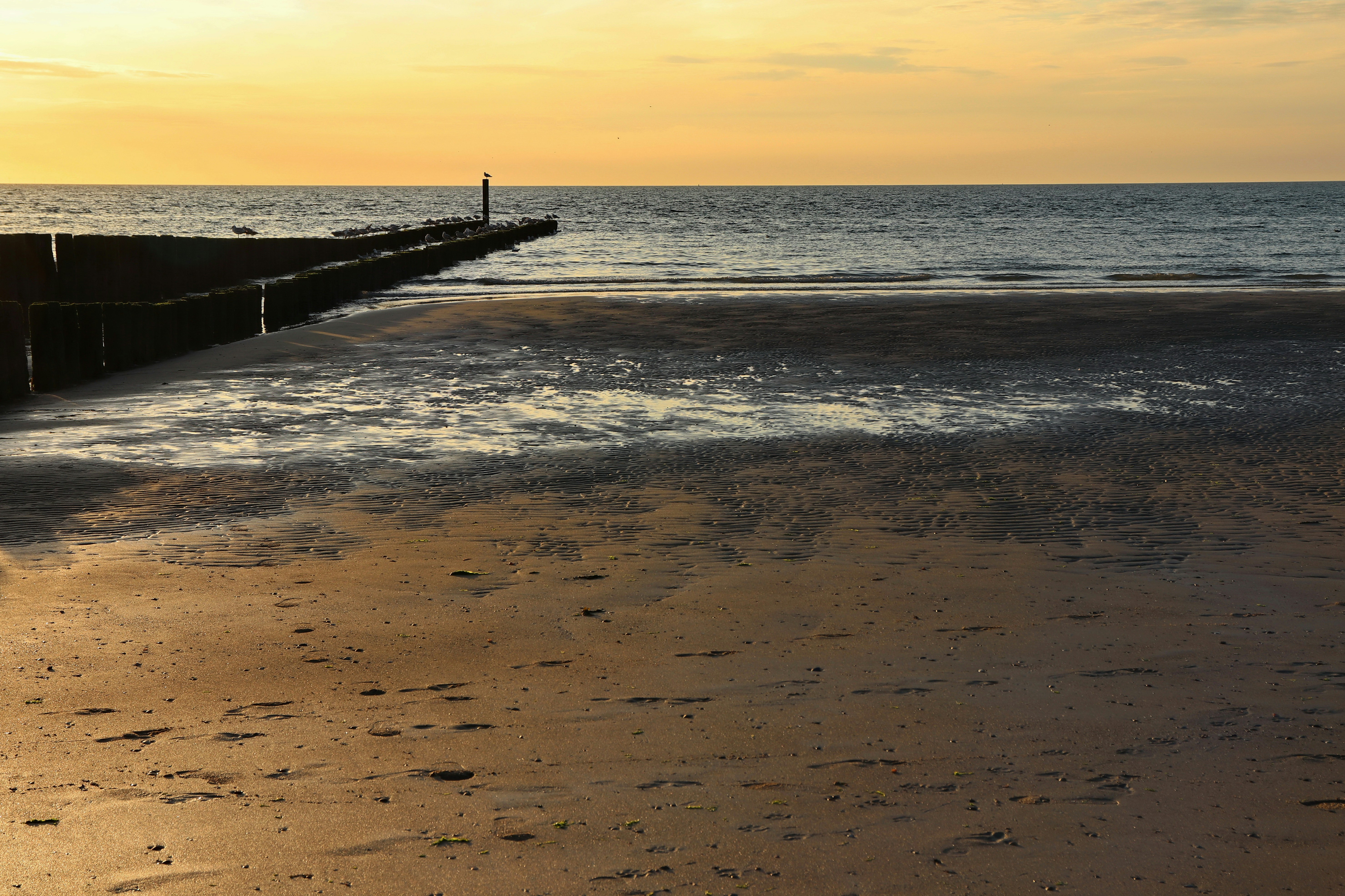 Photo by christoph_68