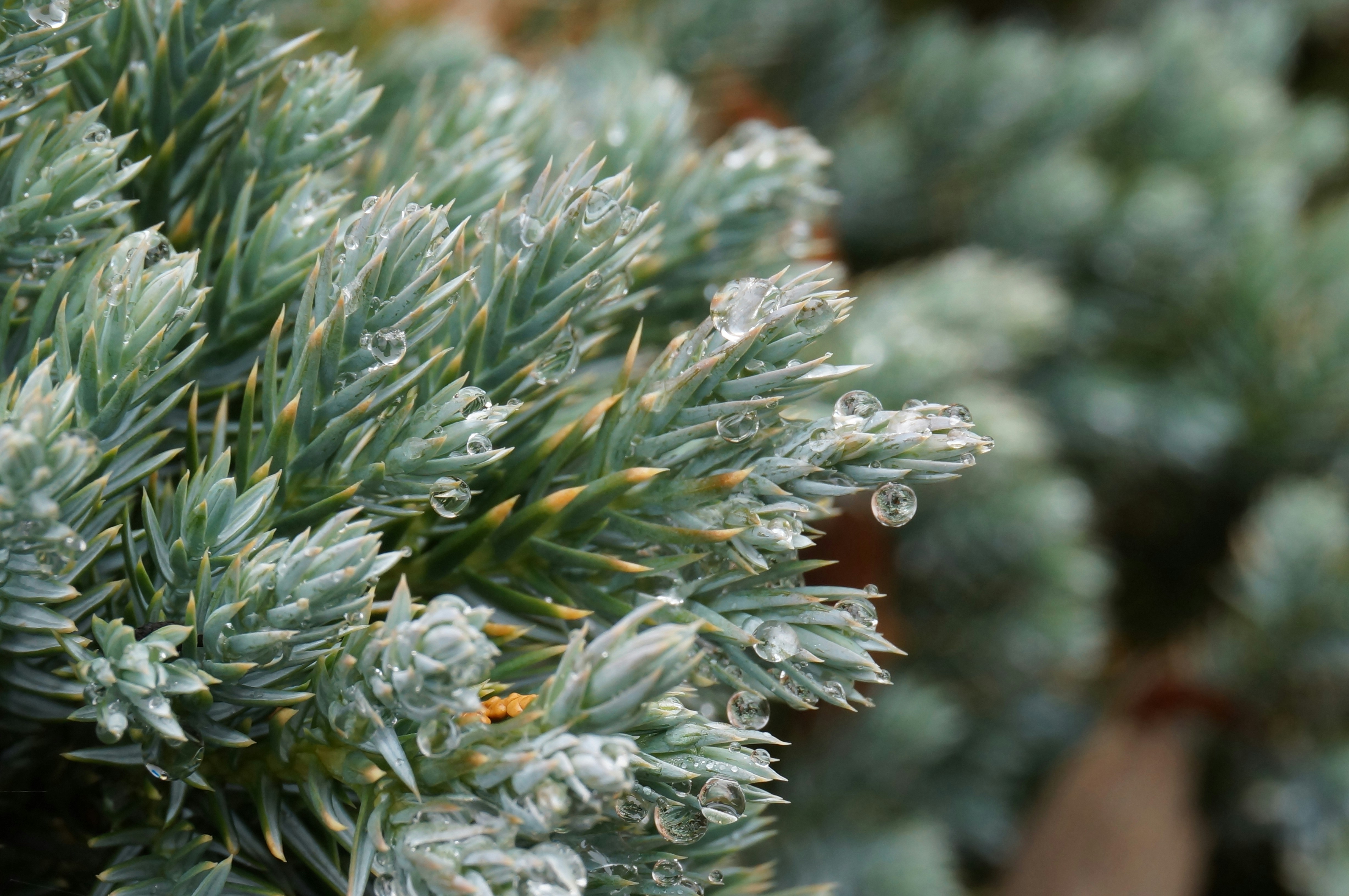 Photo by sugargirl333