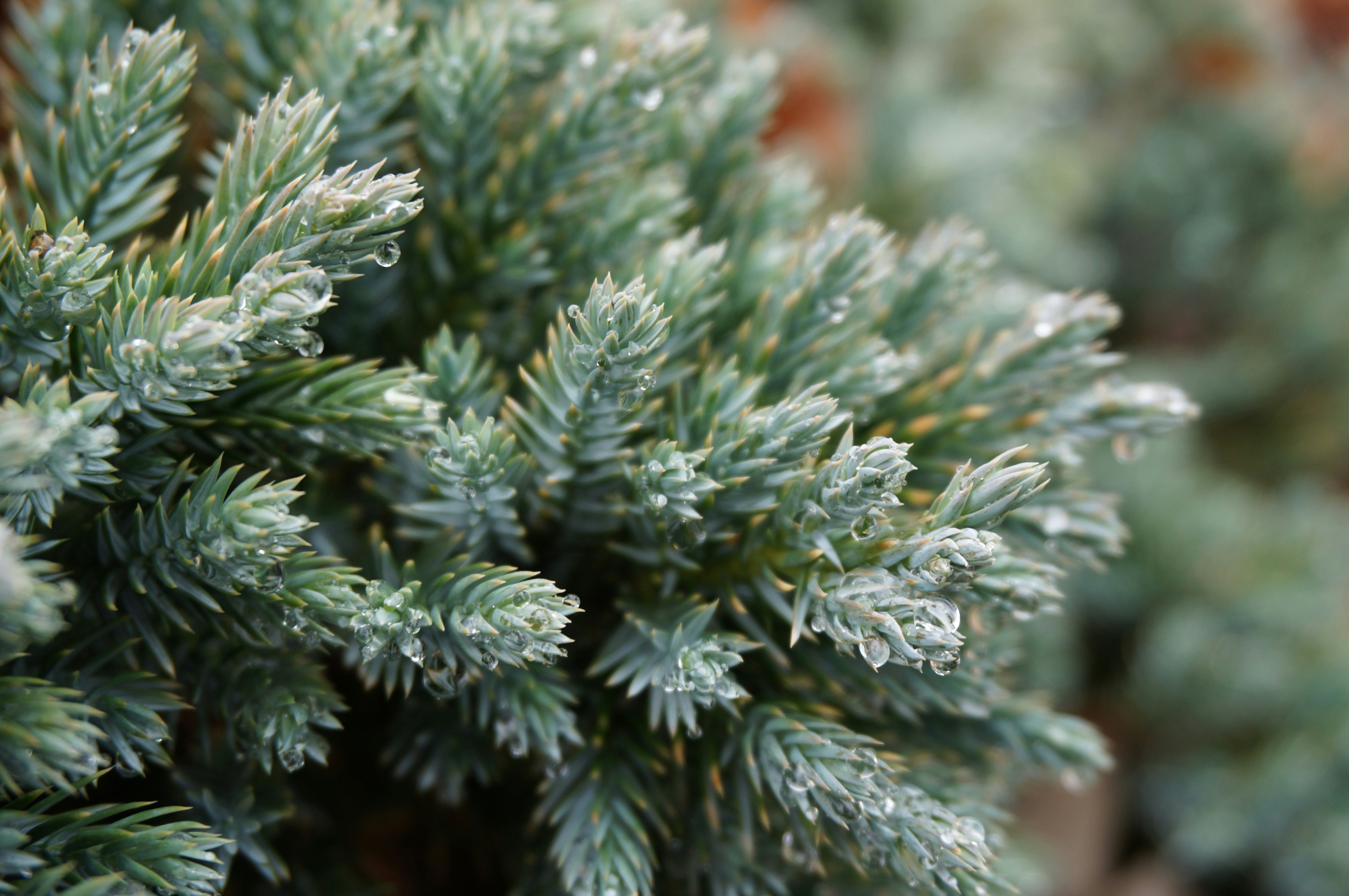 Photo by sugargirl333