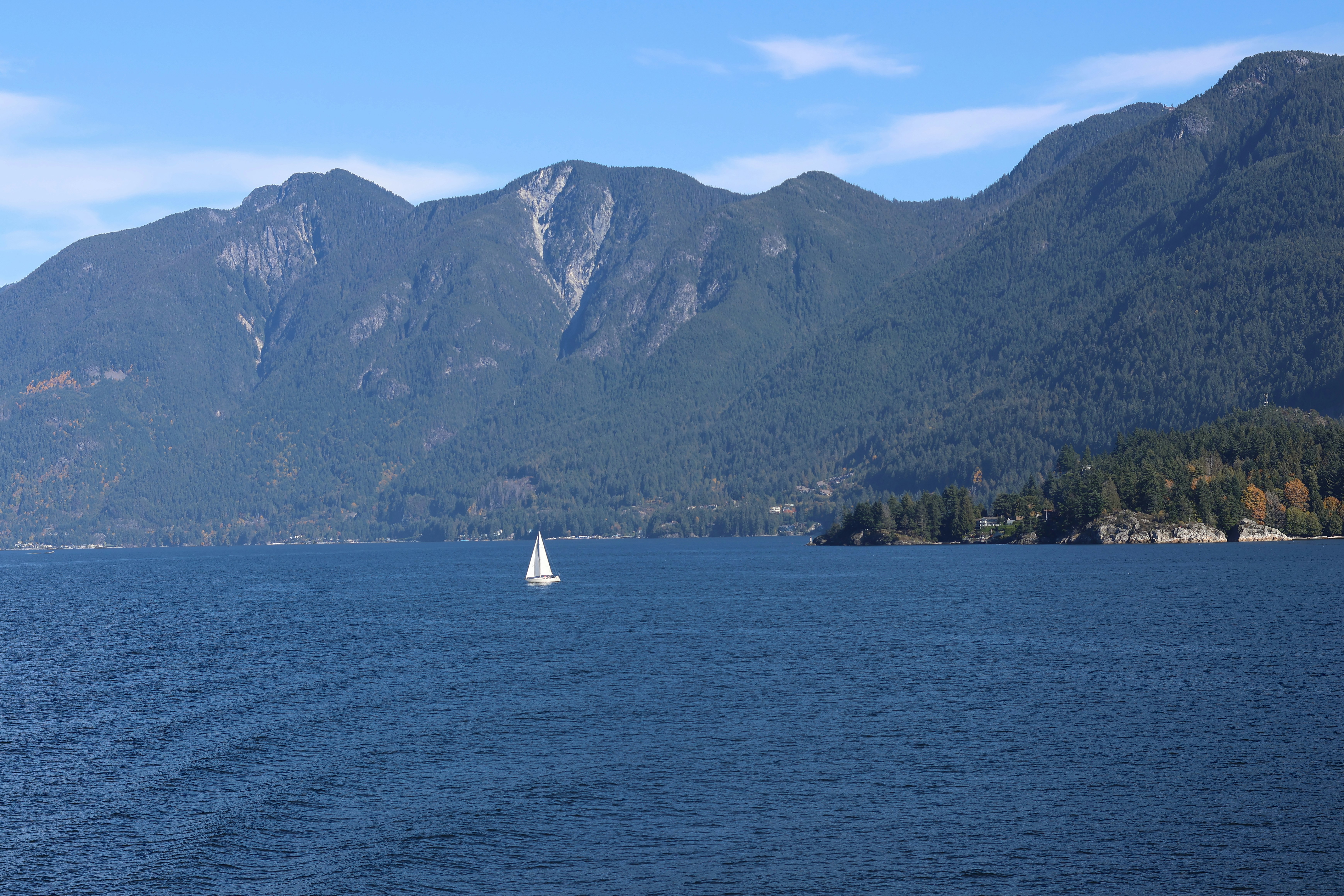 Photo by africantransplantfotos