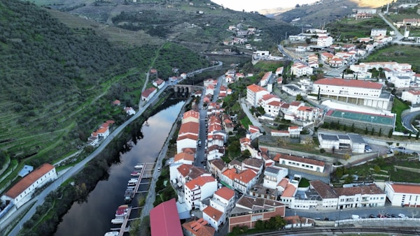 Douro Valley vineyard landscape