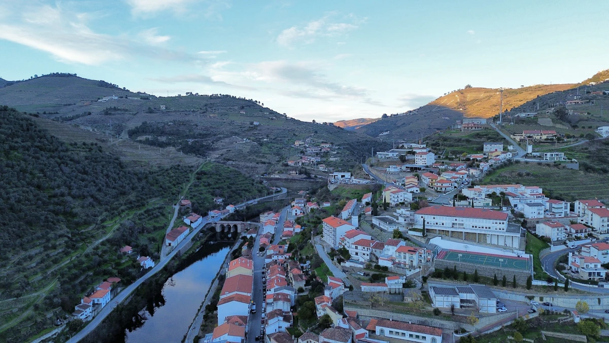Douro Valley terraced vineyards