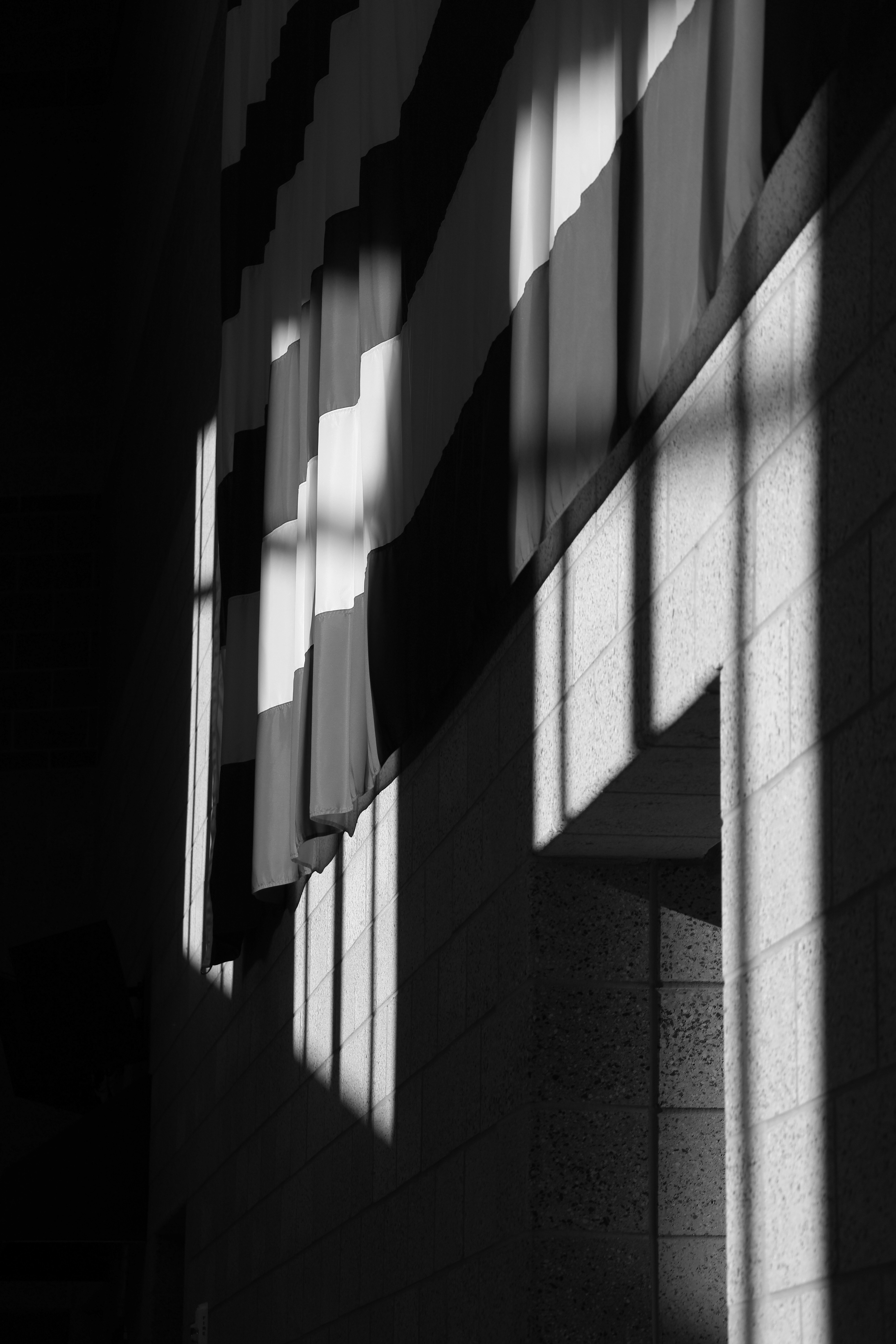 Photo by hadopelagic