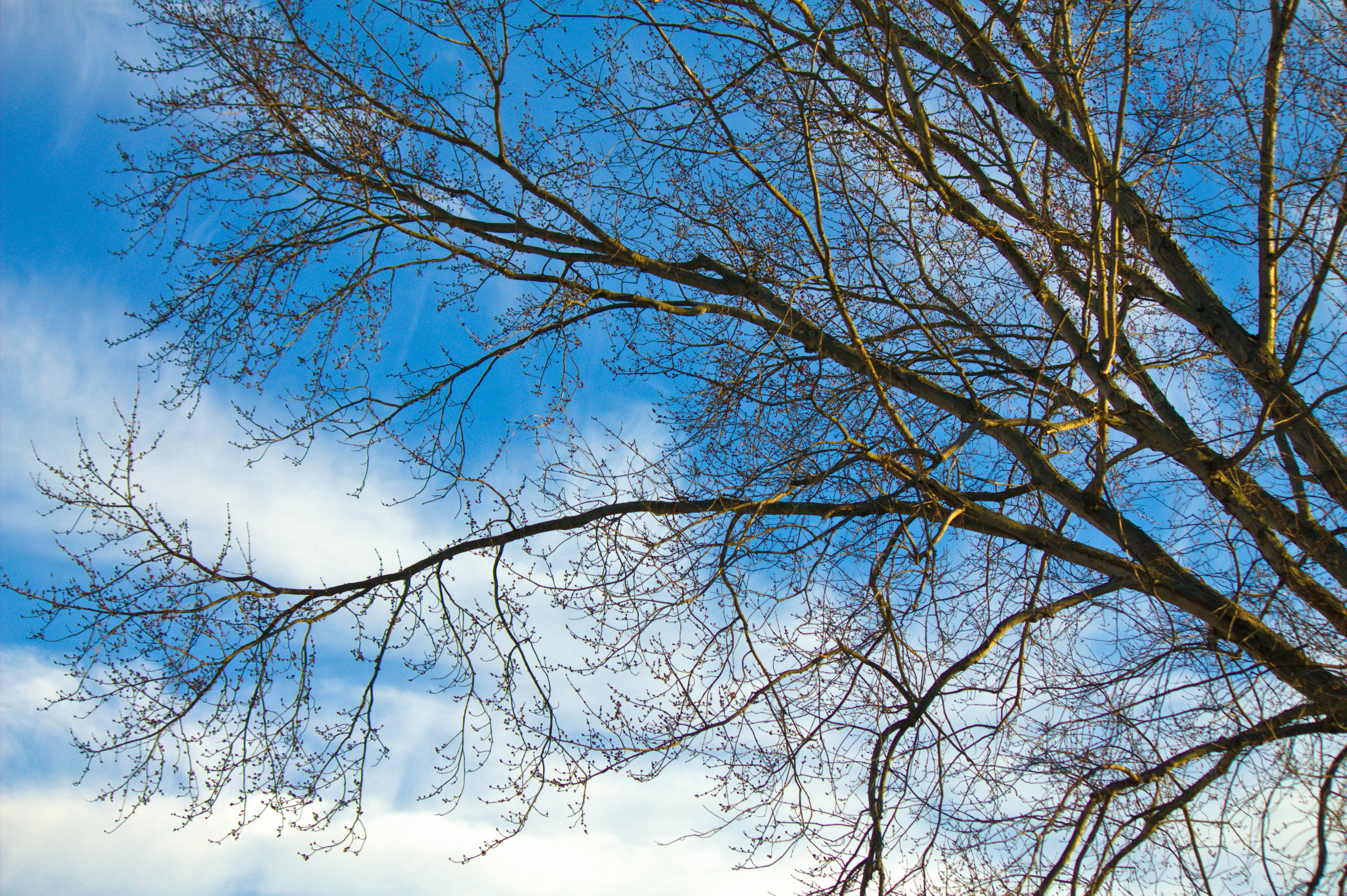 Photo by jimmypaxson