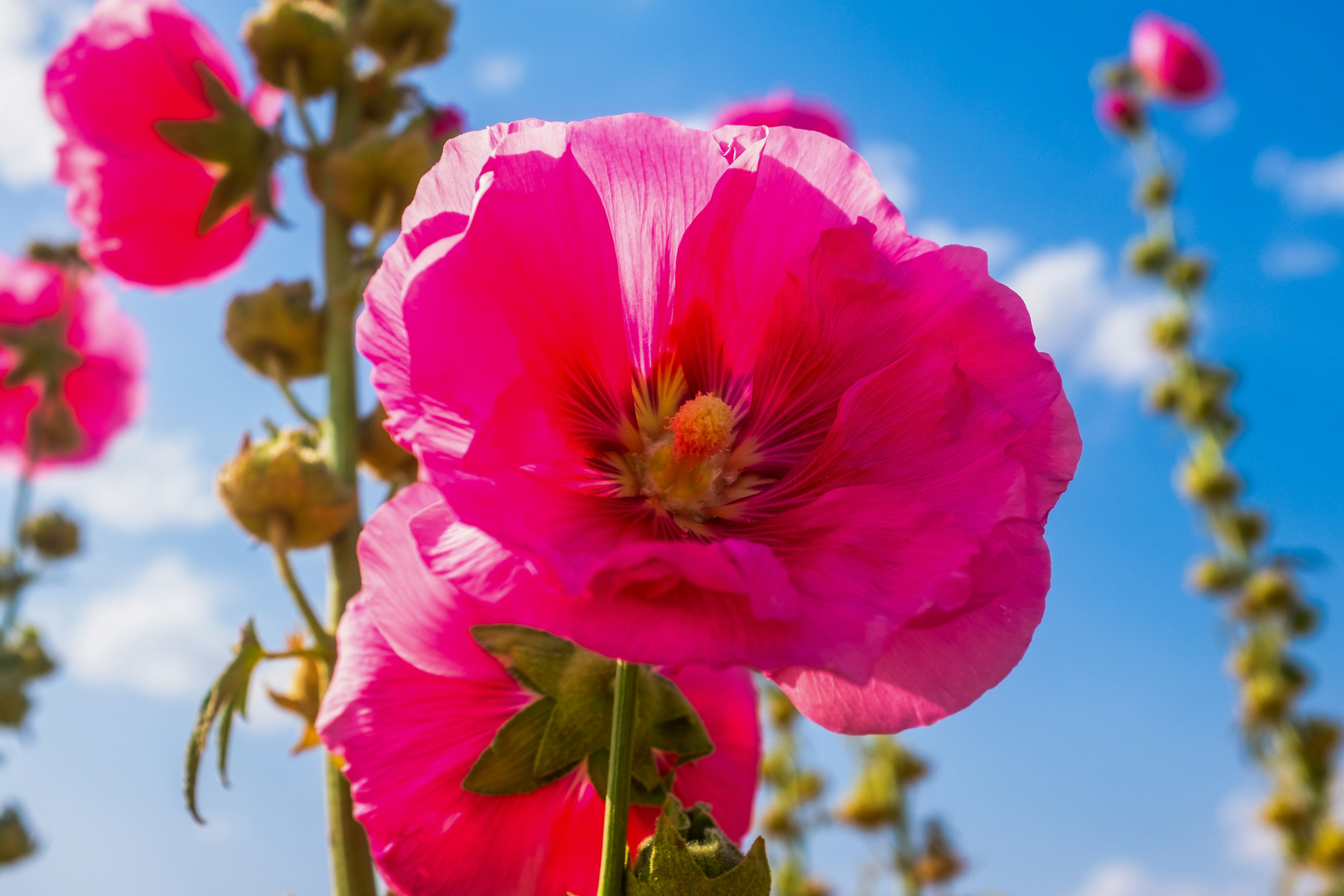 Photo by oldsoulframes