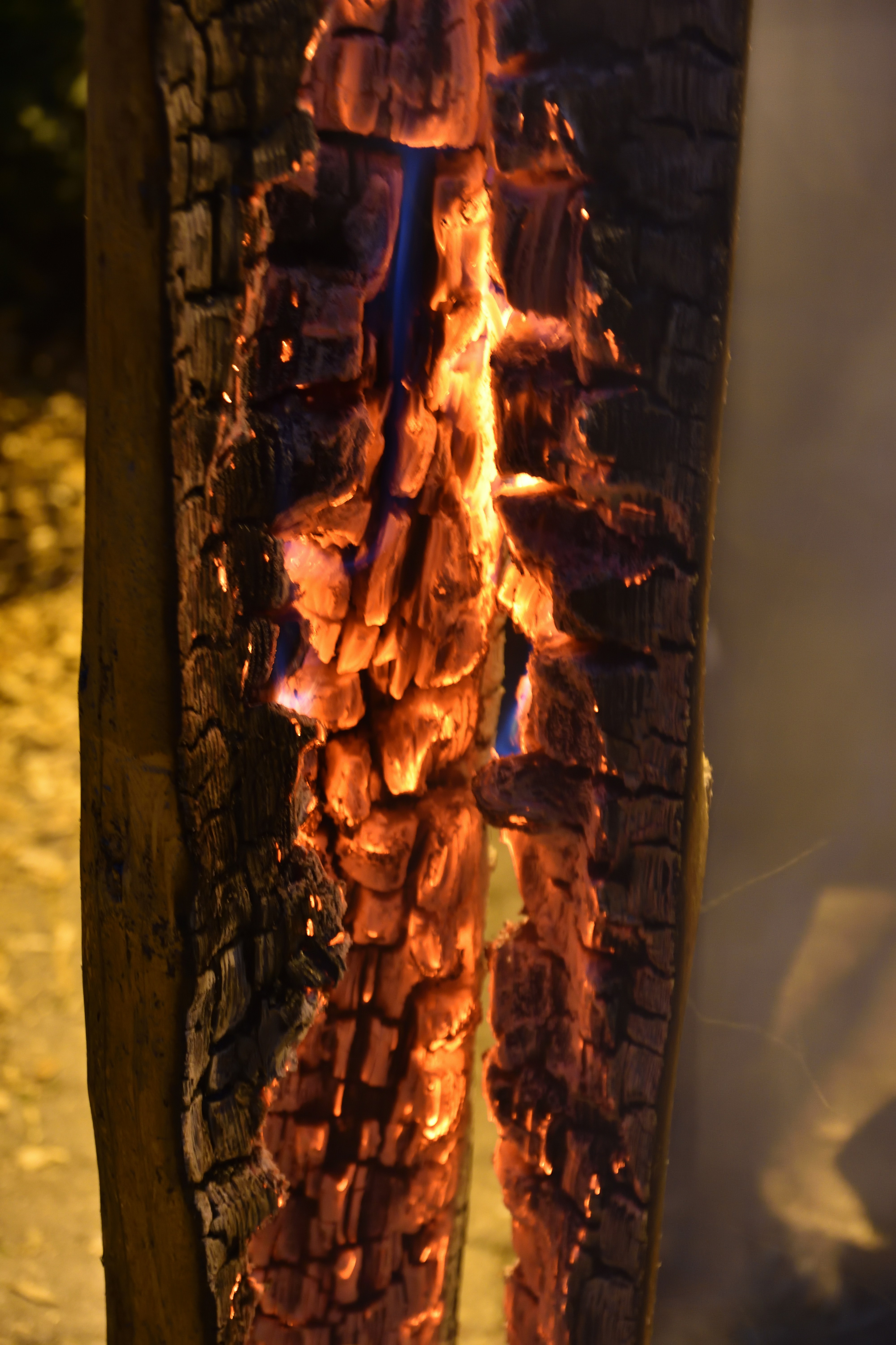 燃える木の炭と青い炎が燃え上がった。