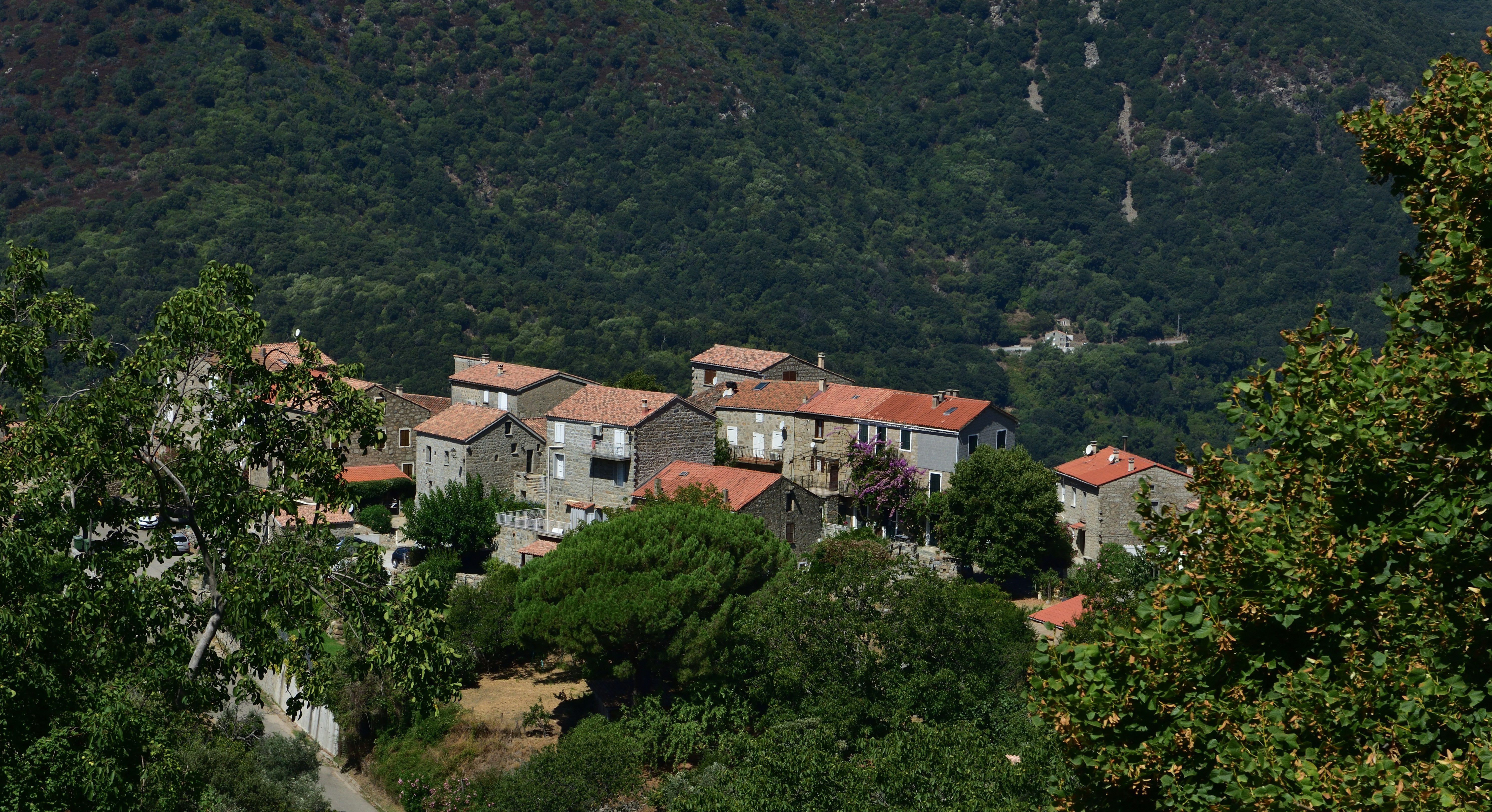 Photo by bertrand1212