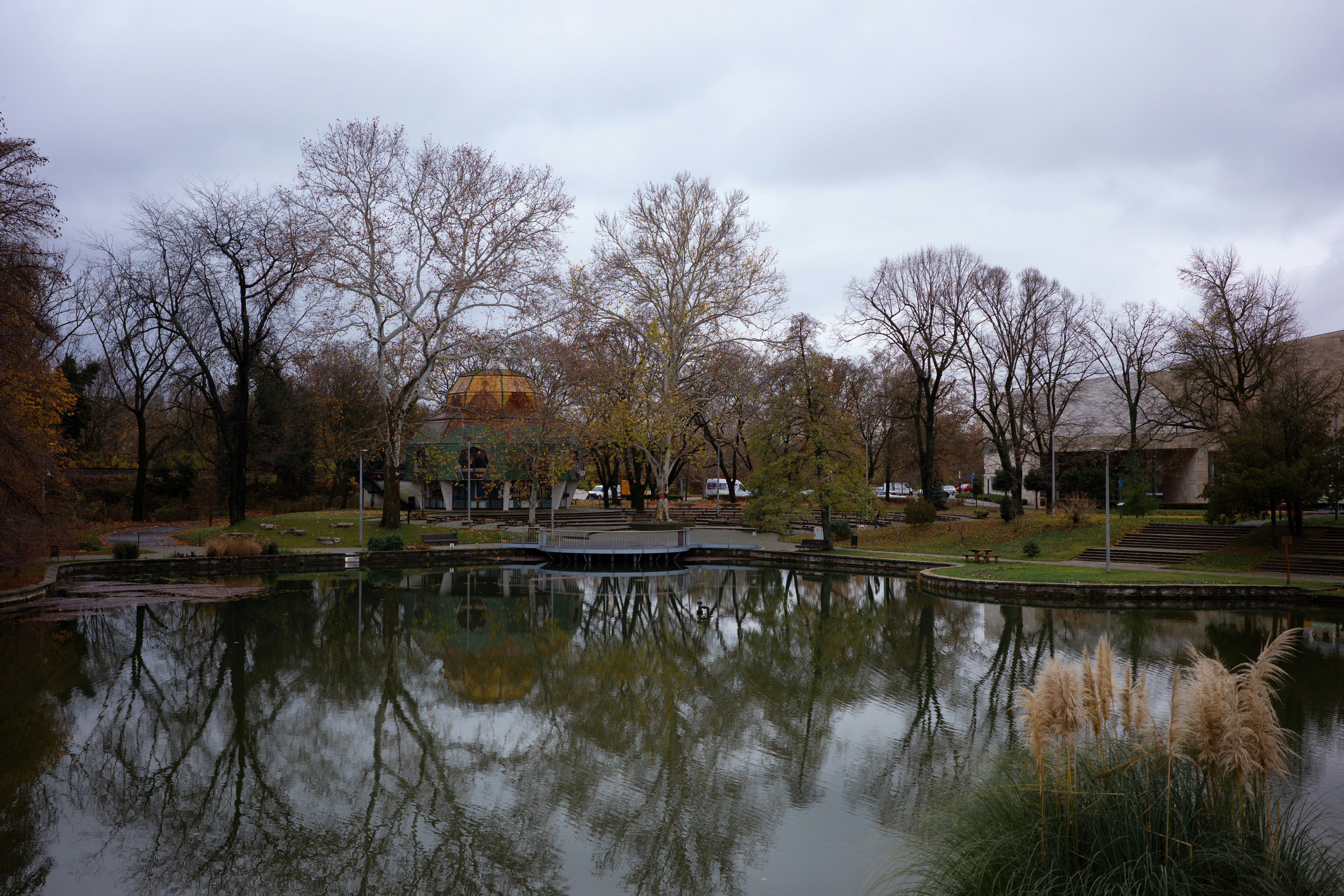 Bare trees reflected in a calm pond under cloudy sky
