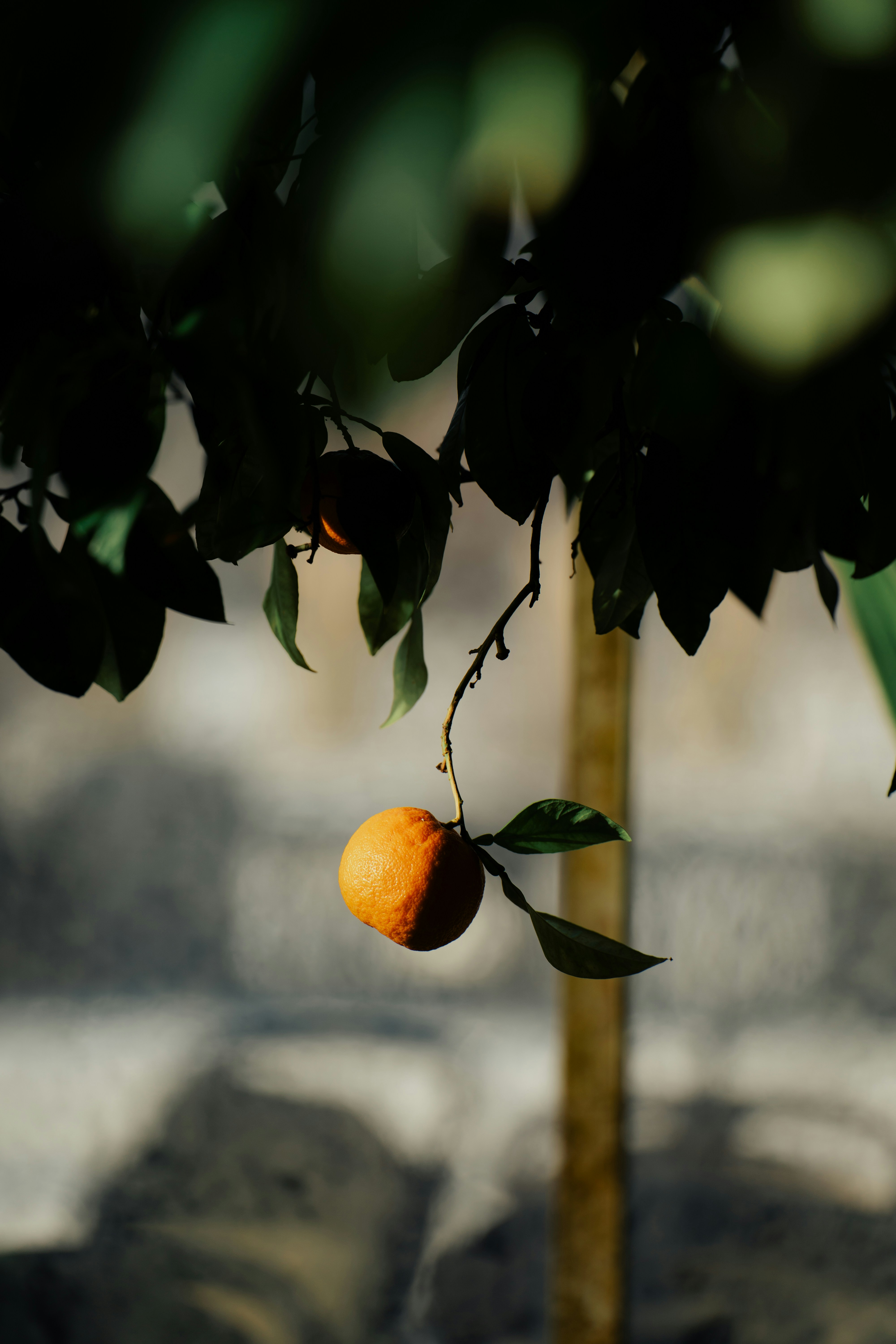 Photo by dermanuskript