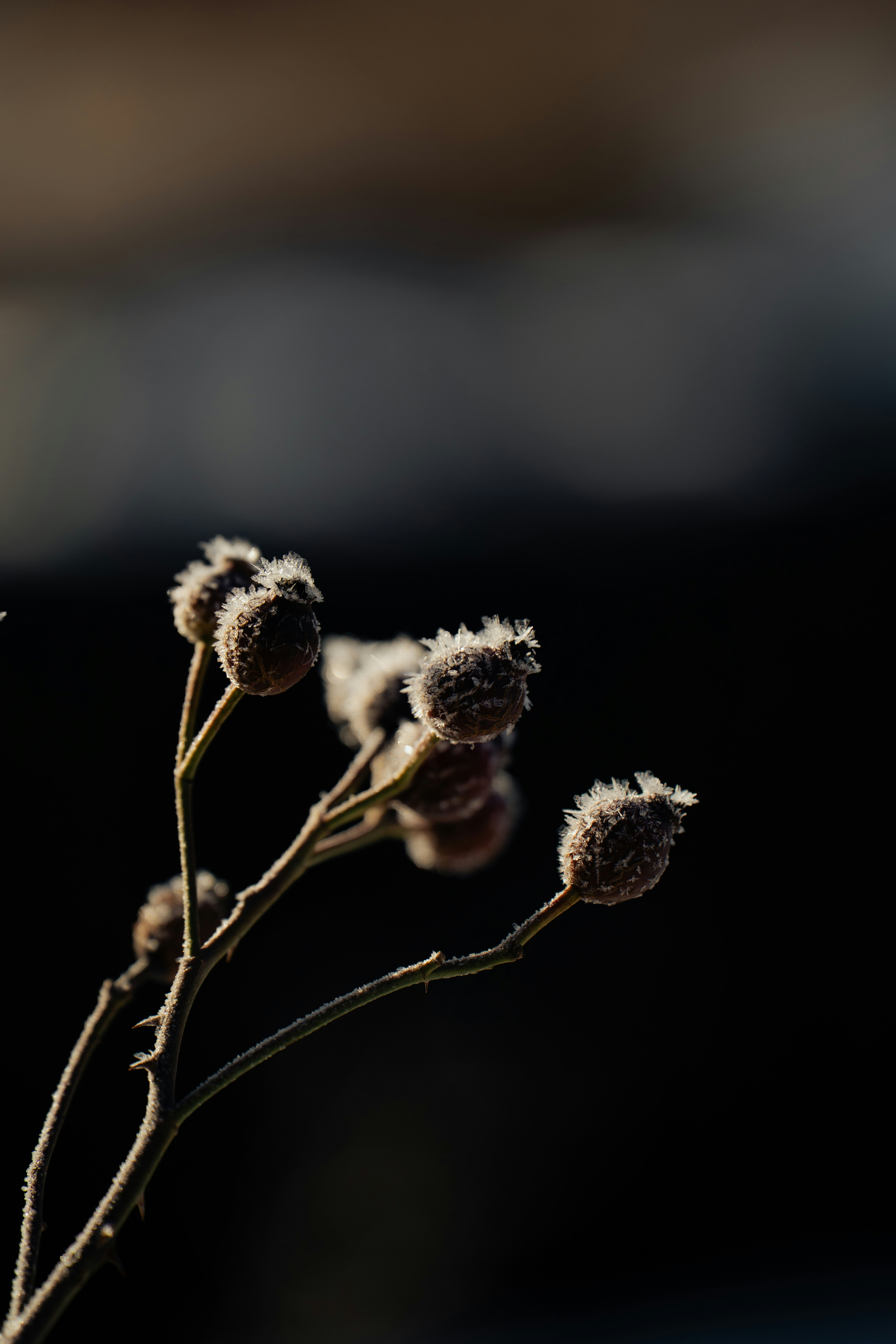 Photo by dermanuskript