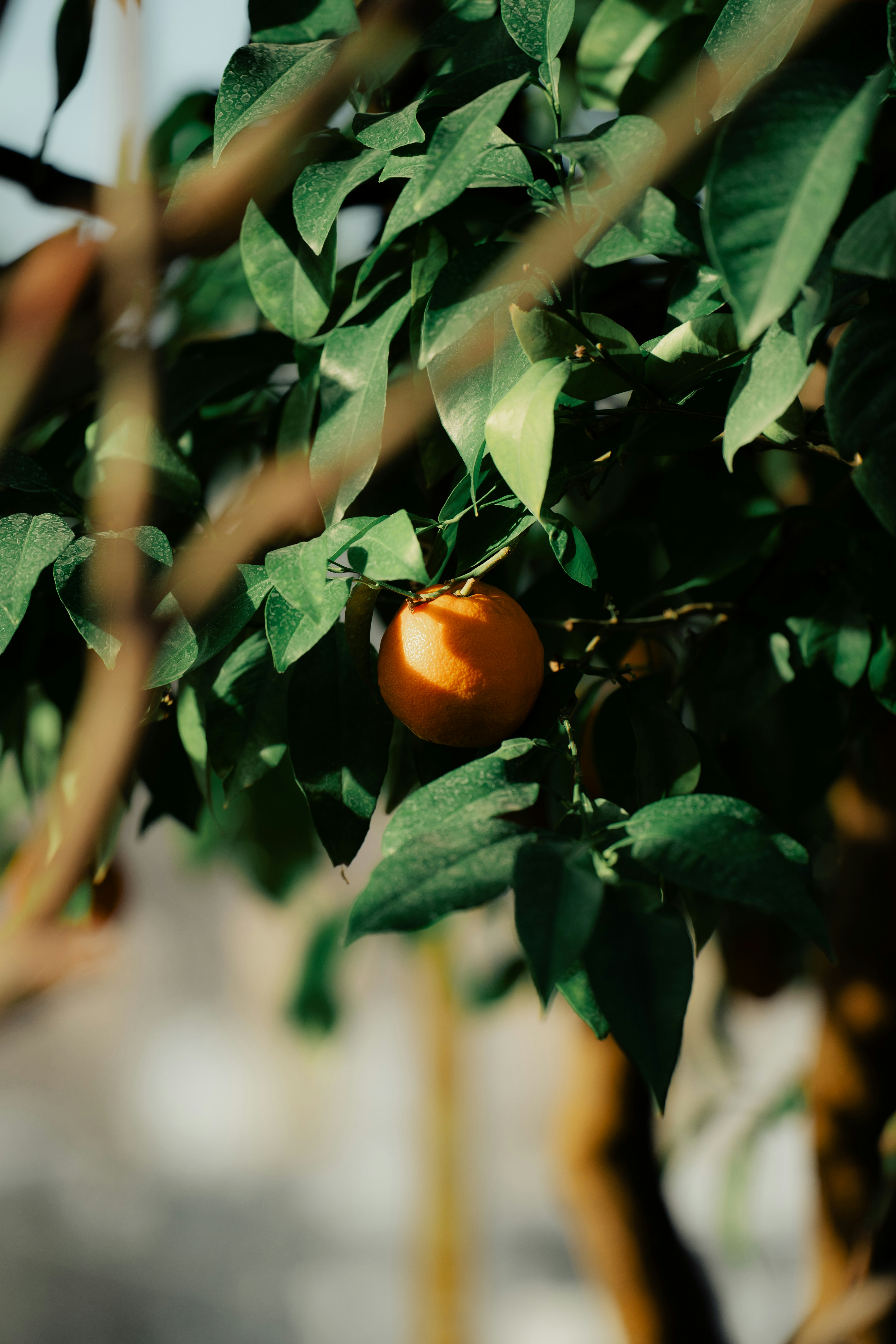 Photo by dermanuskript