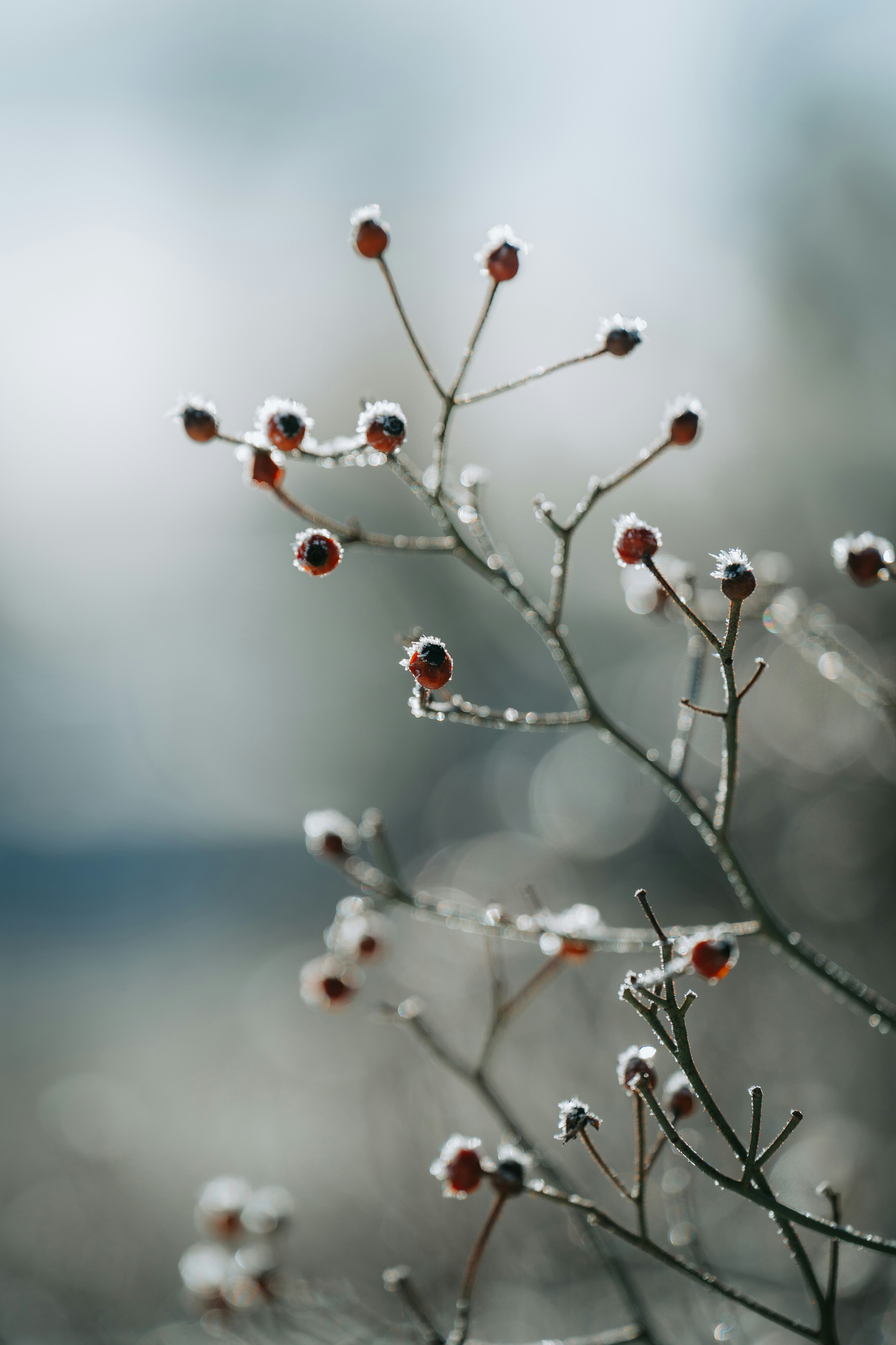 Photo by dermanuskript