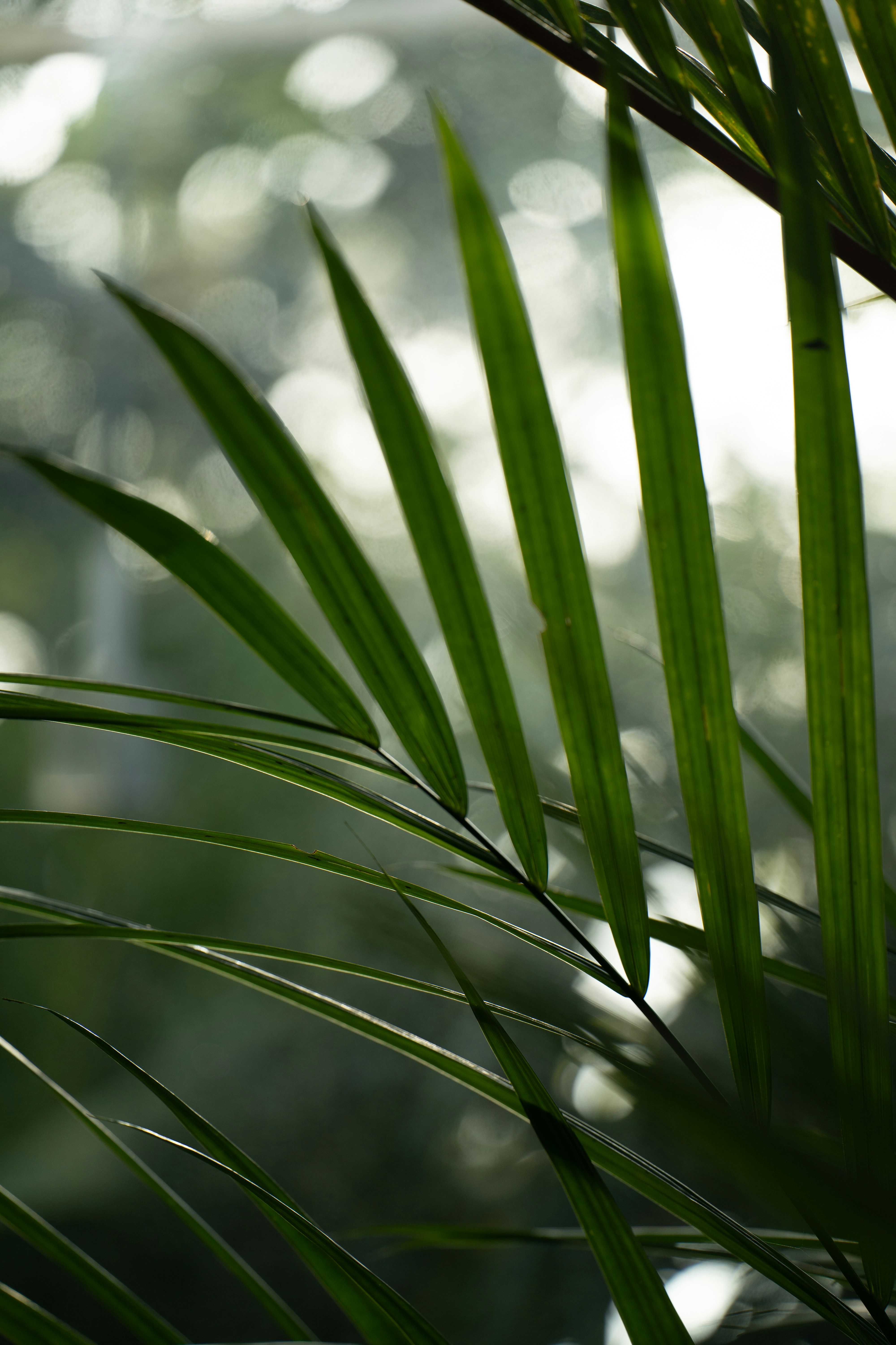 Photo by dermanuskript