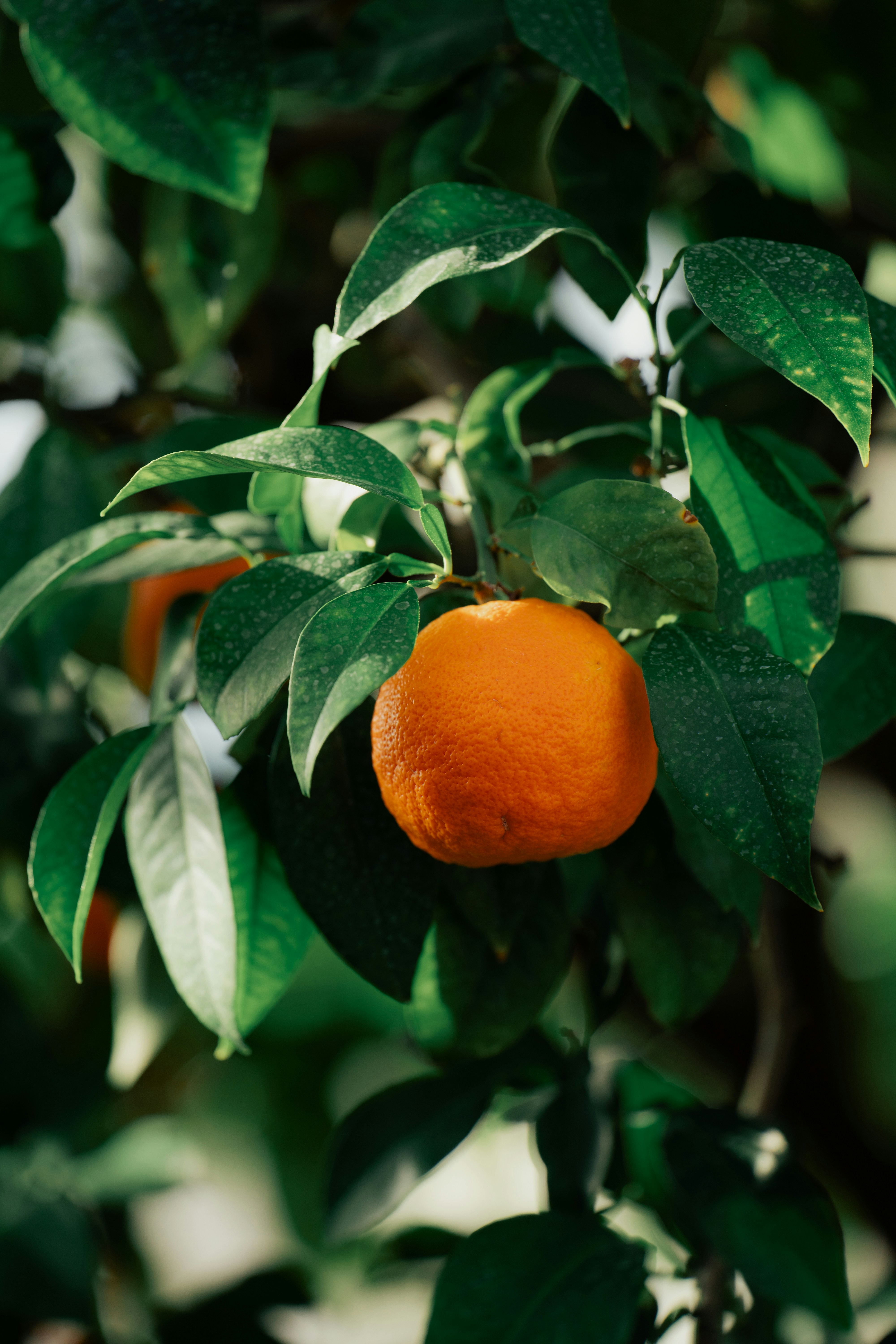 Photo by dermanuskript