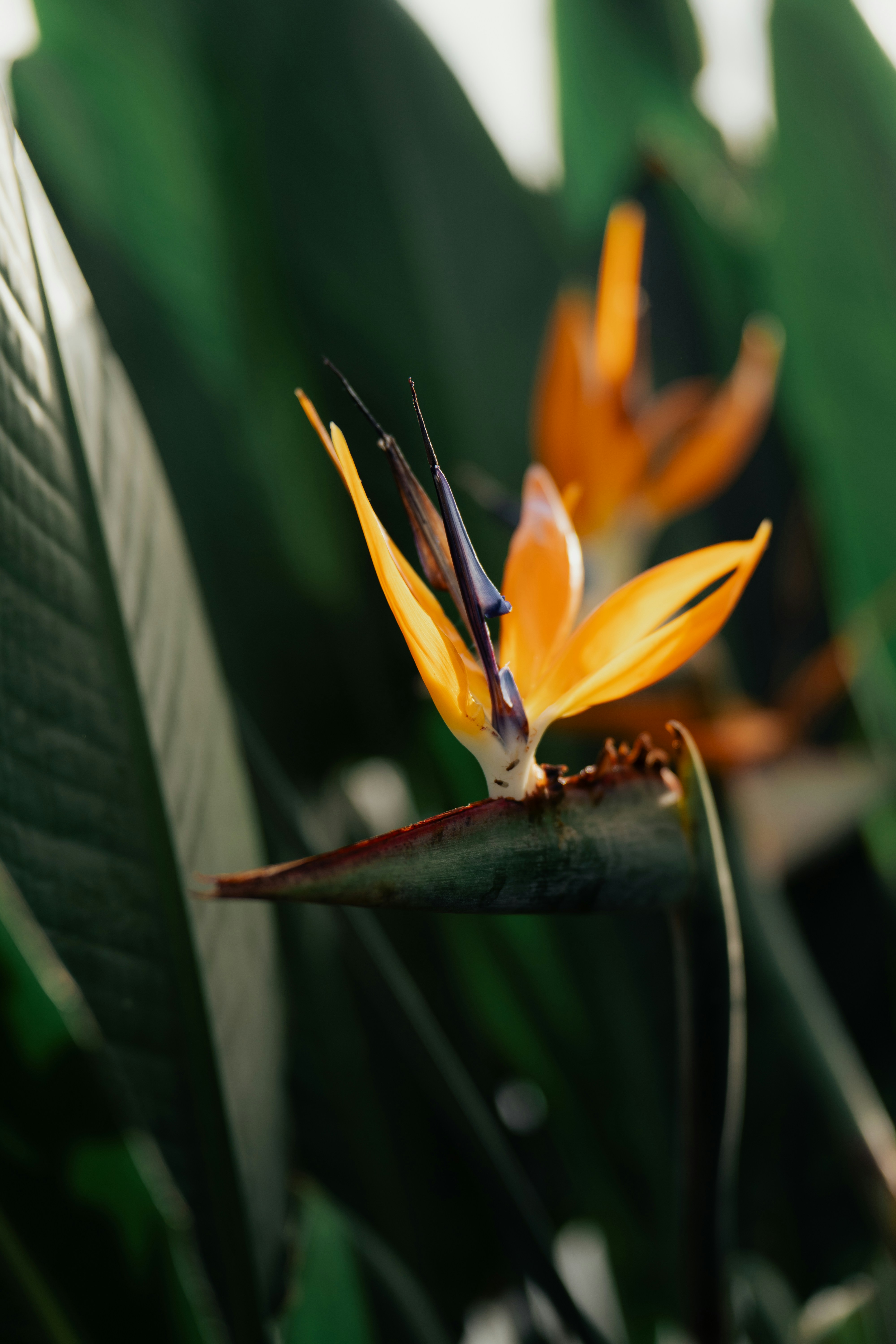 Photo by dermanuskript