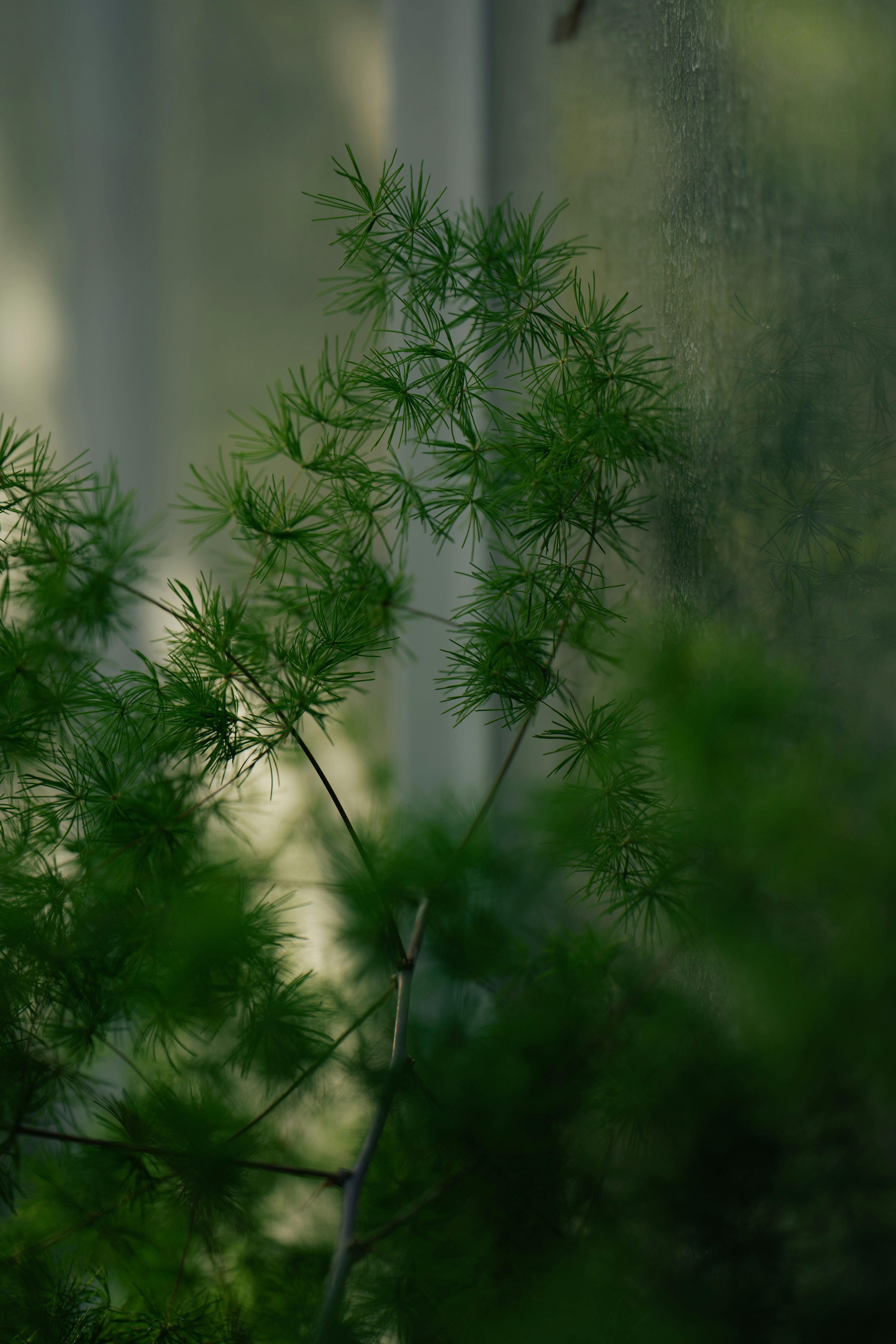 Photo by dermanuskript