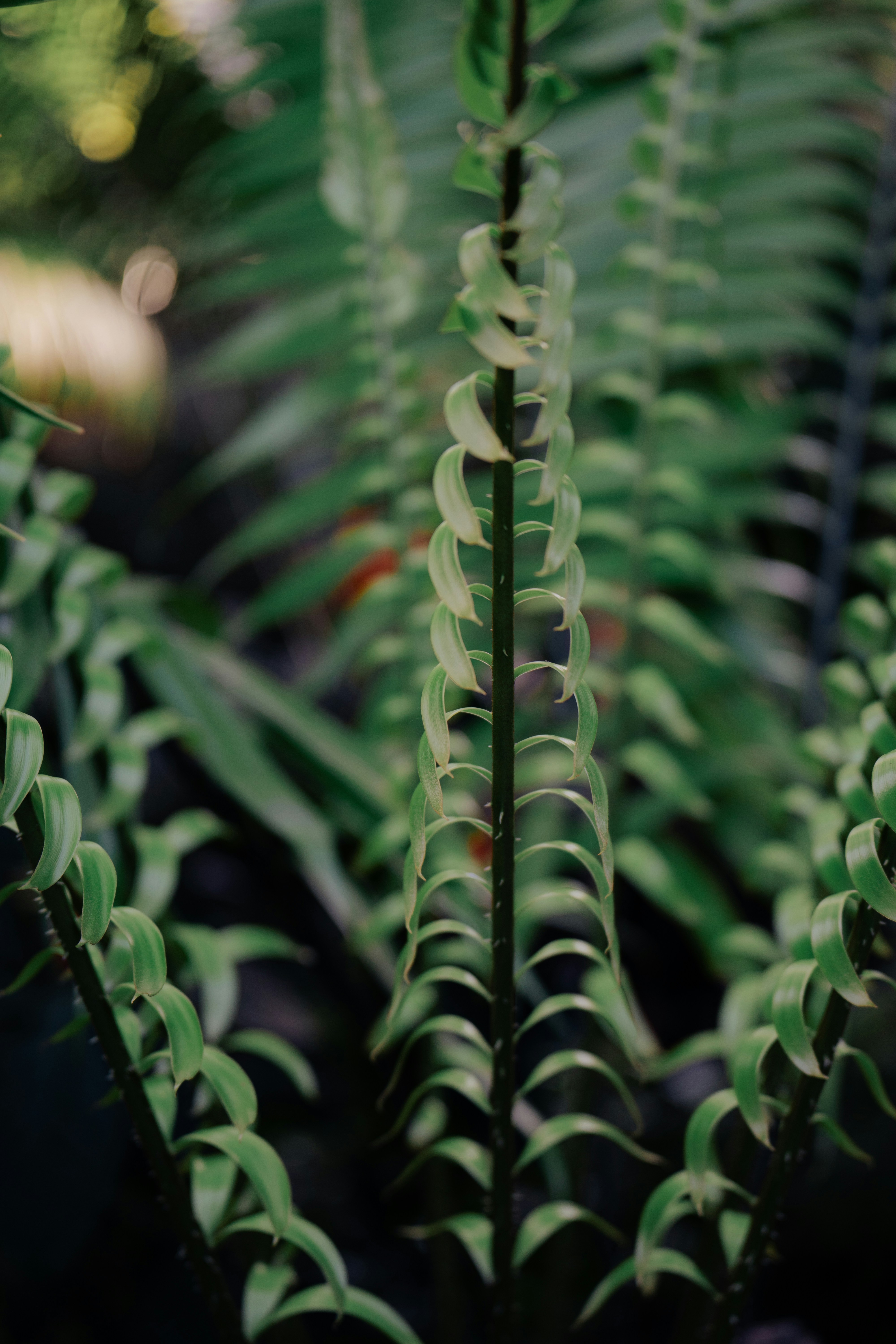 Photo by dermanuskript