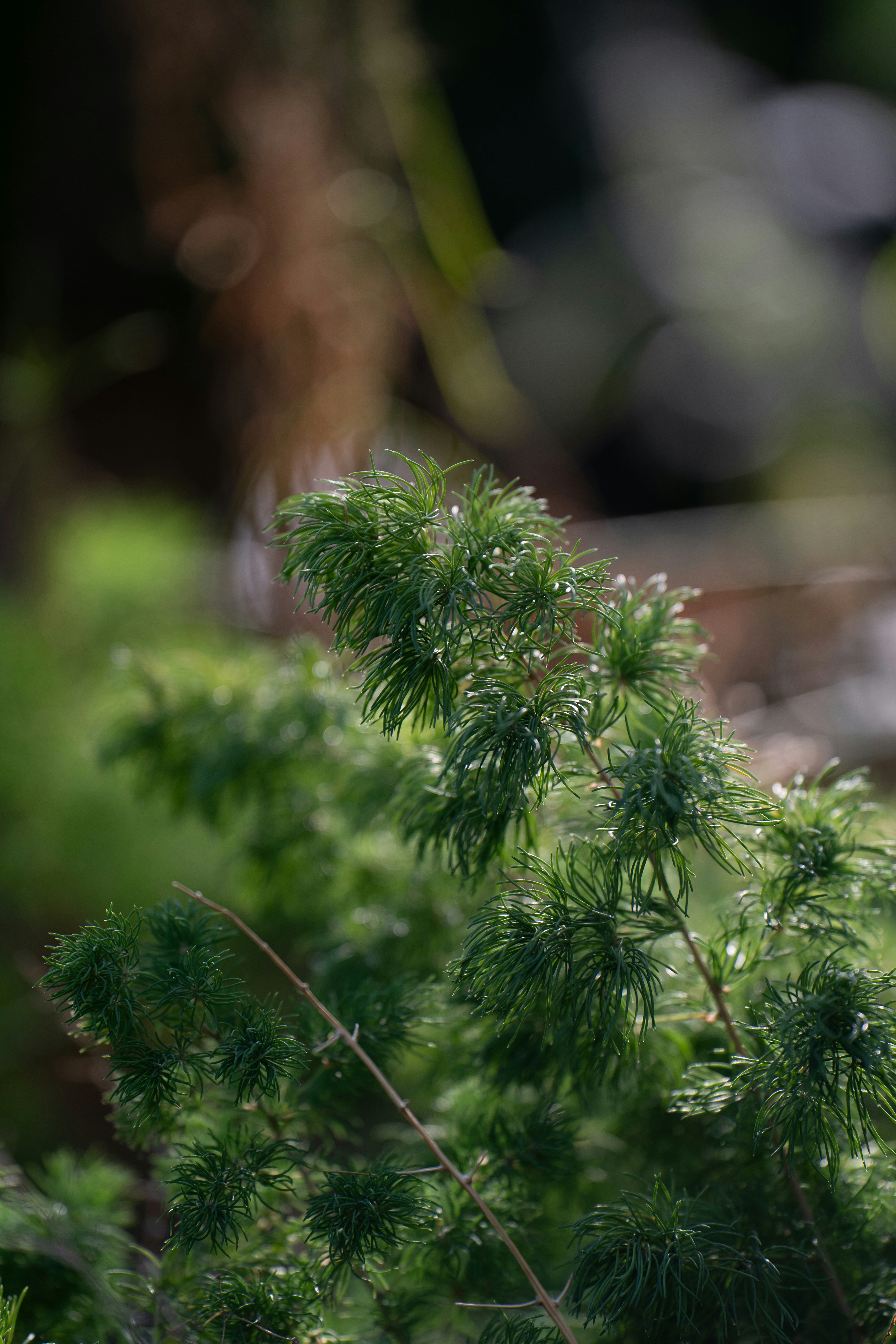 Photo by dermanuskript