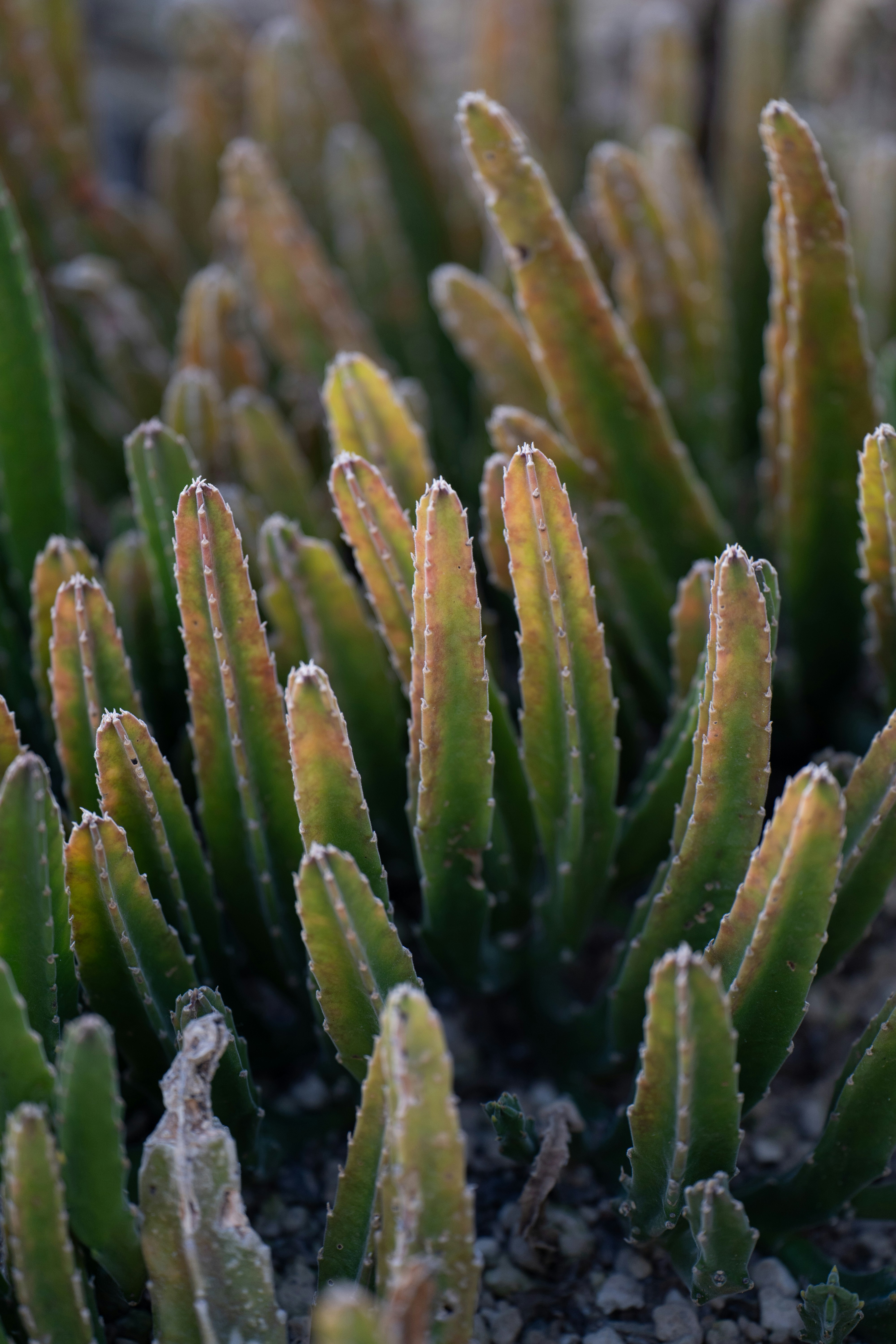 Photo by dermanuskript