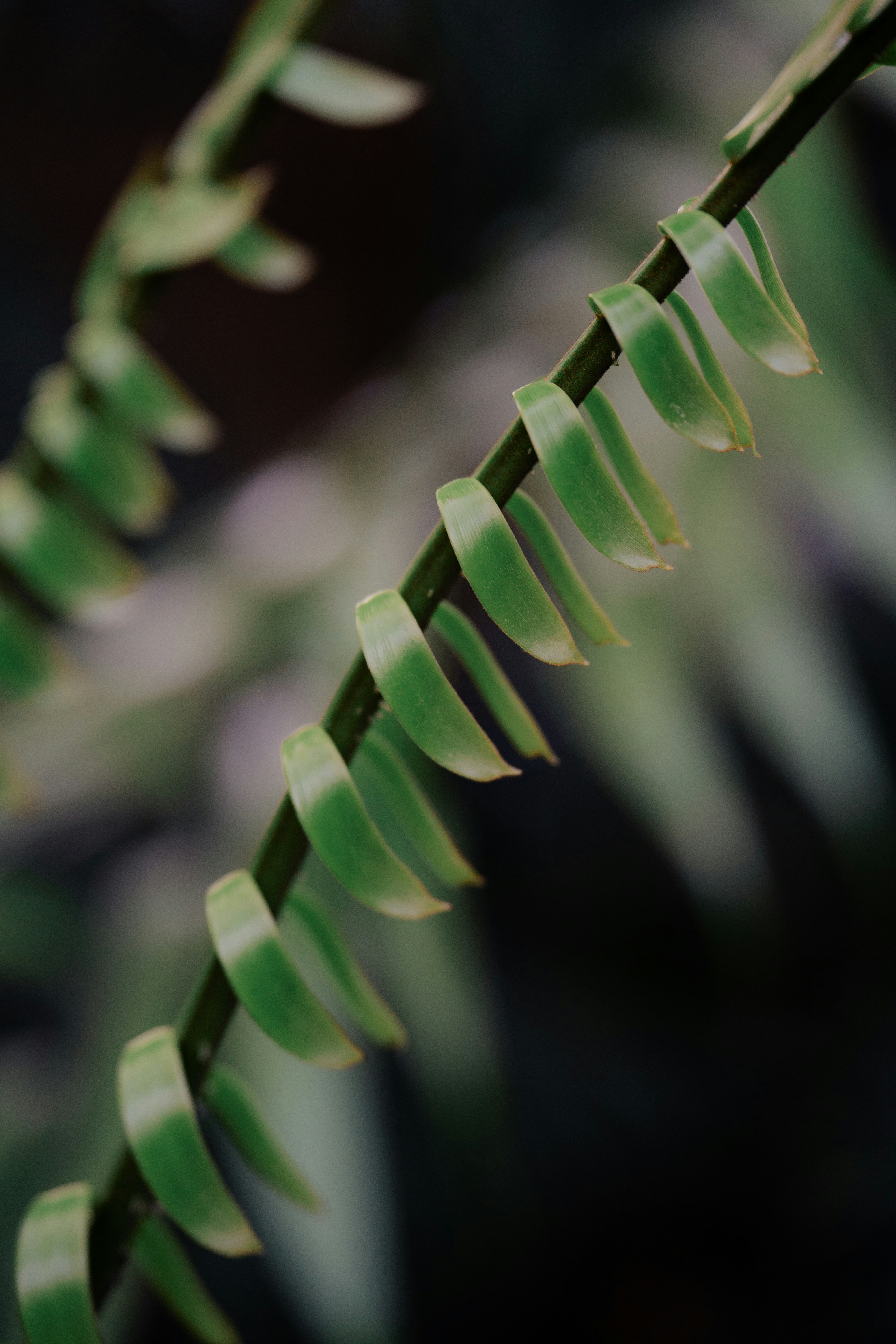 Photo by dermanuskript