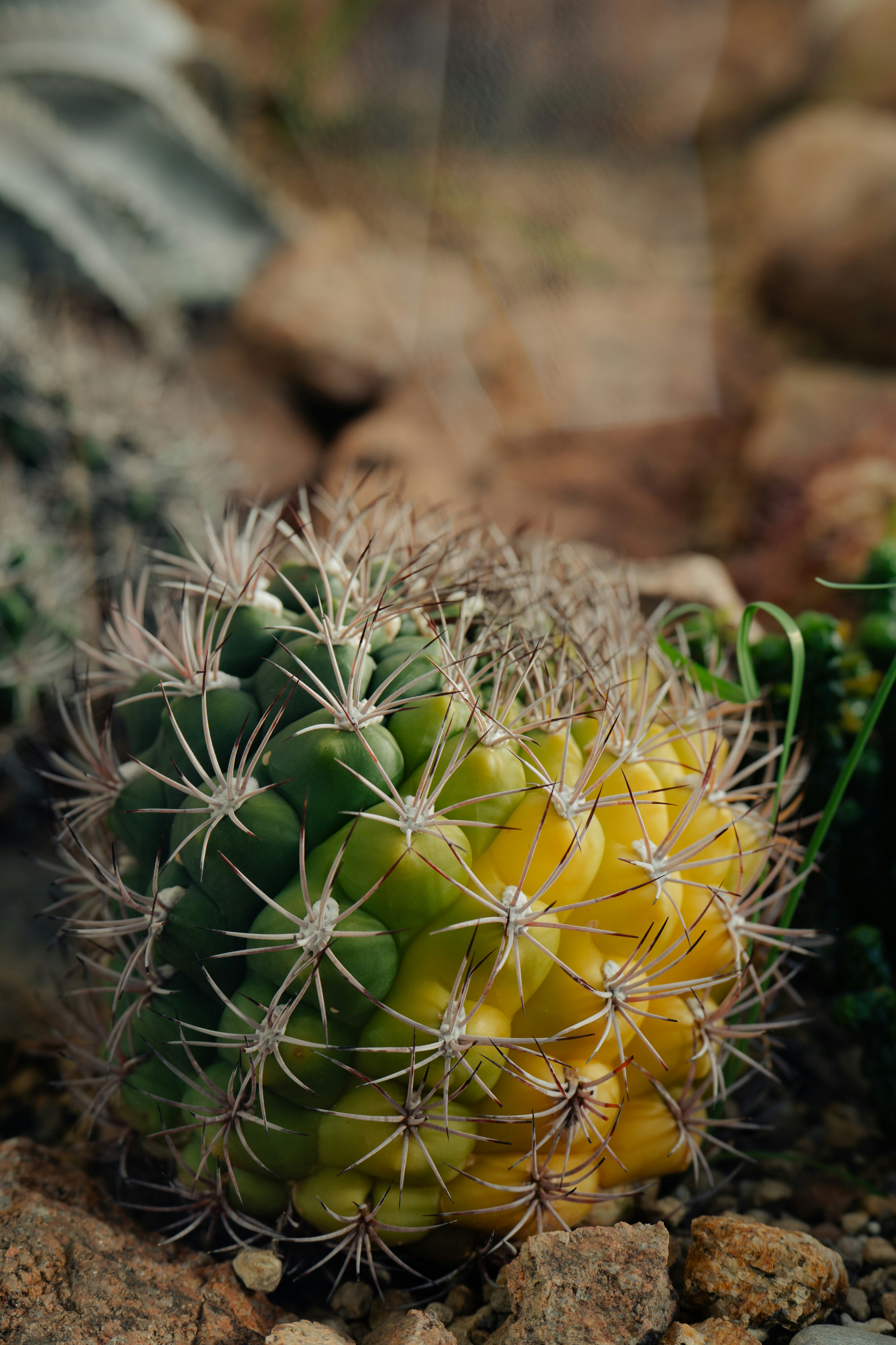 Photo by dermanuskript