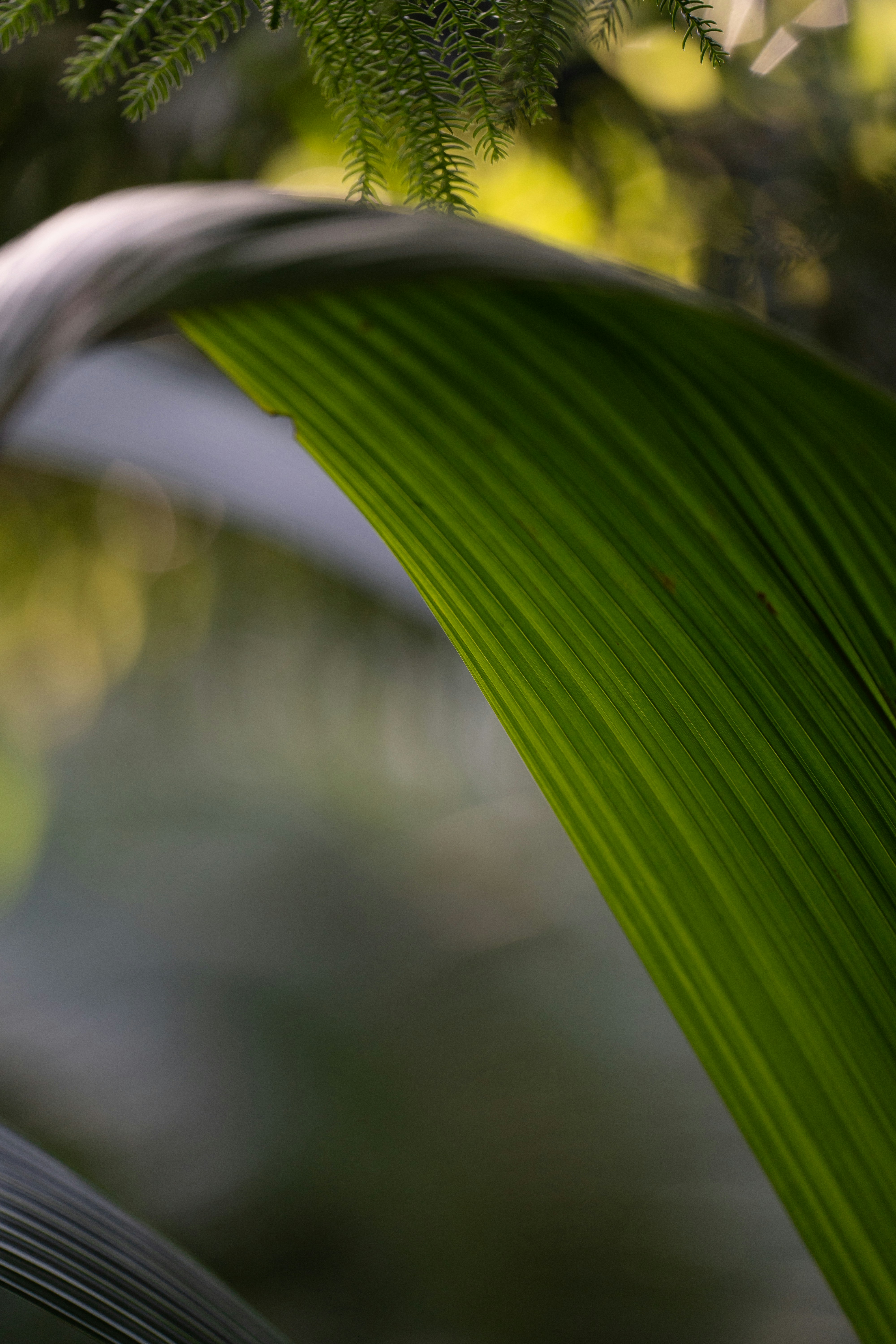 Photo by dermanuskript