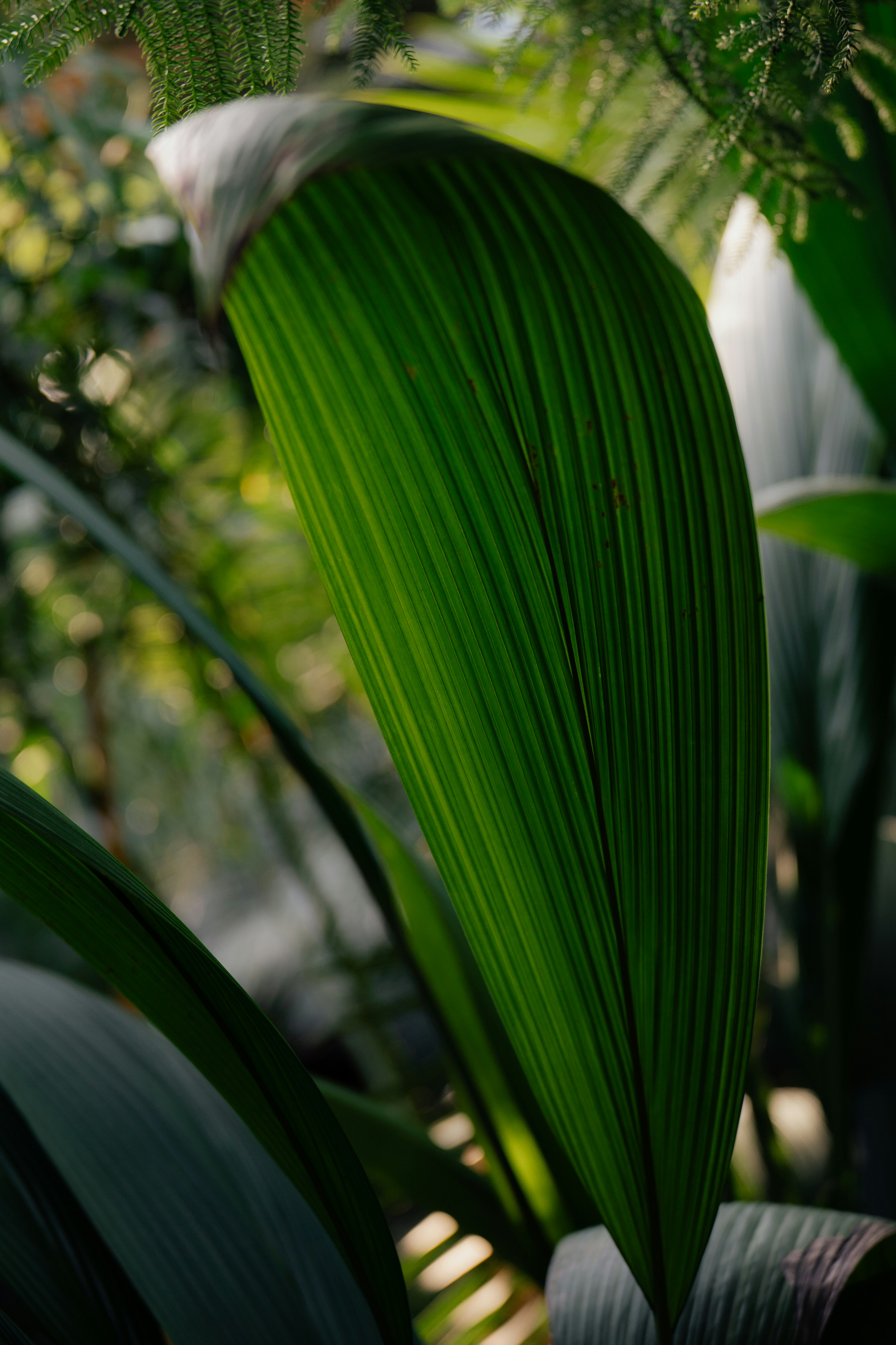 Photo by dermanuskript