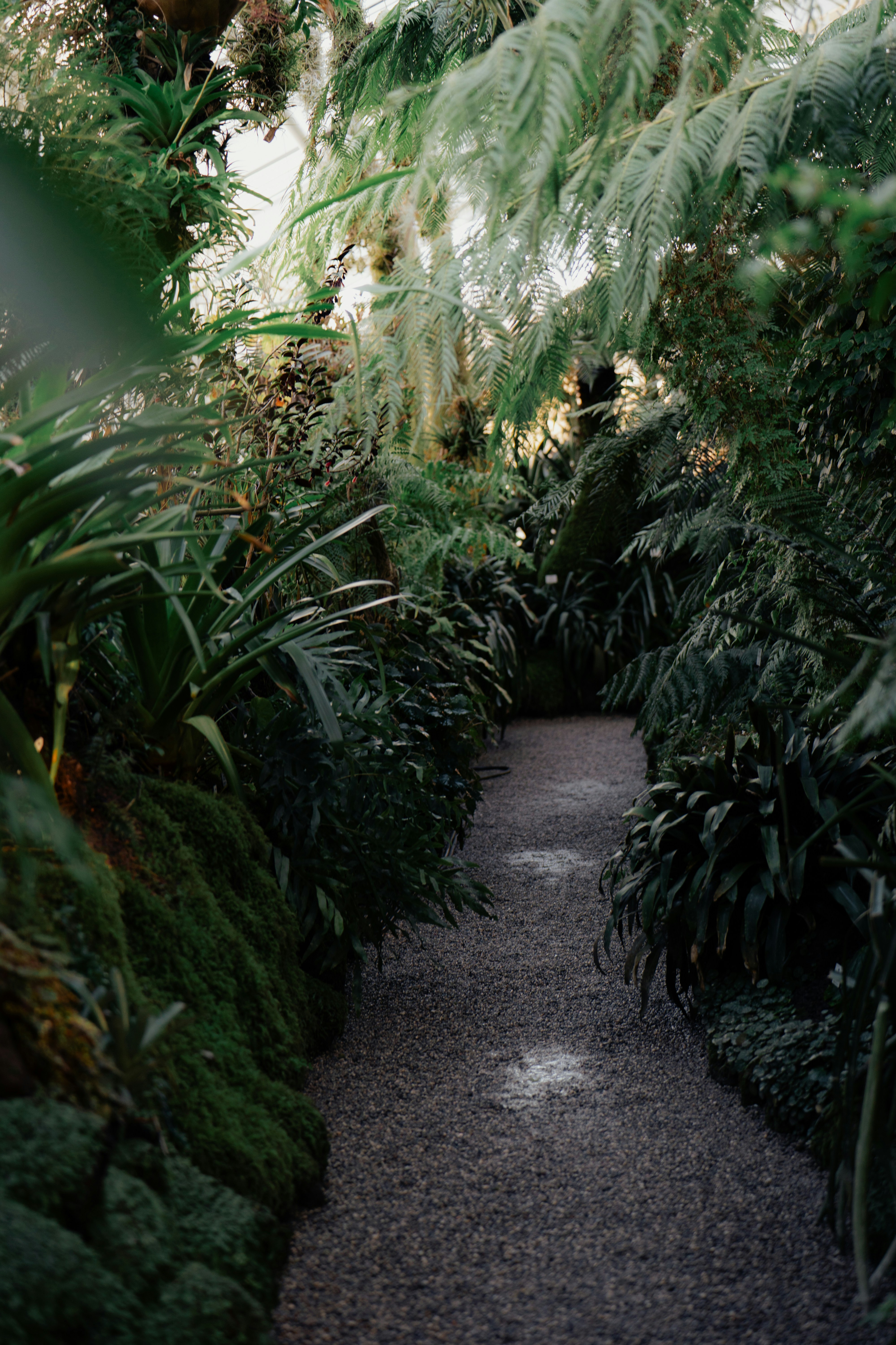 Photo by dermanuskript