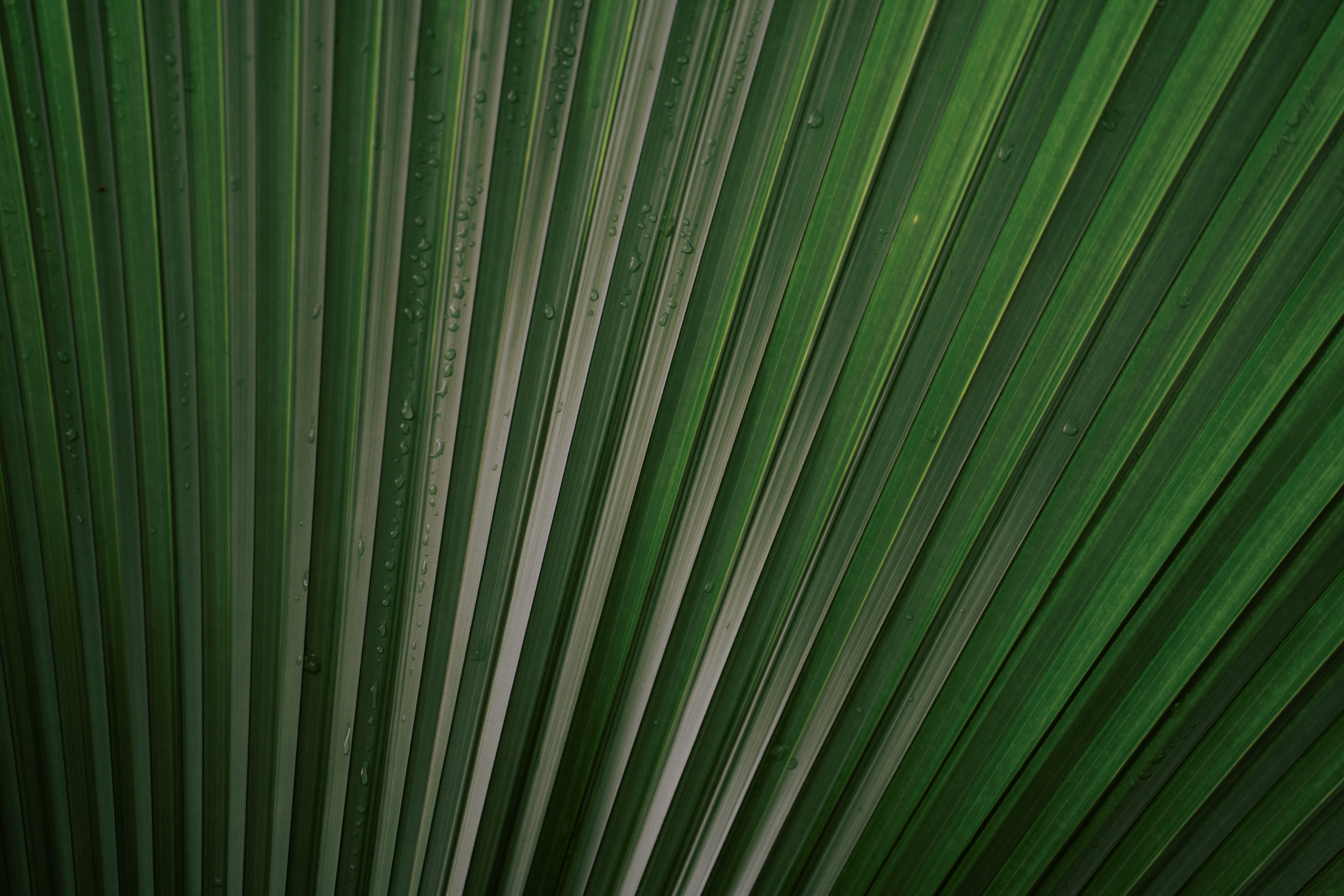 Photo by dermanuskript