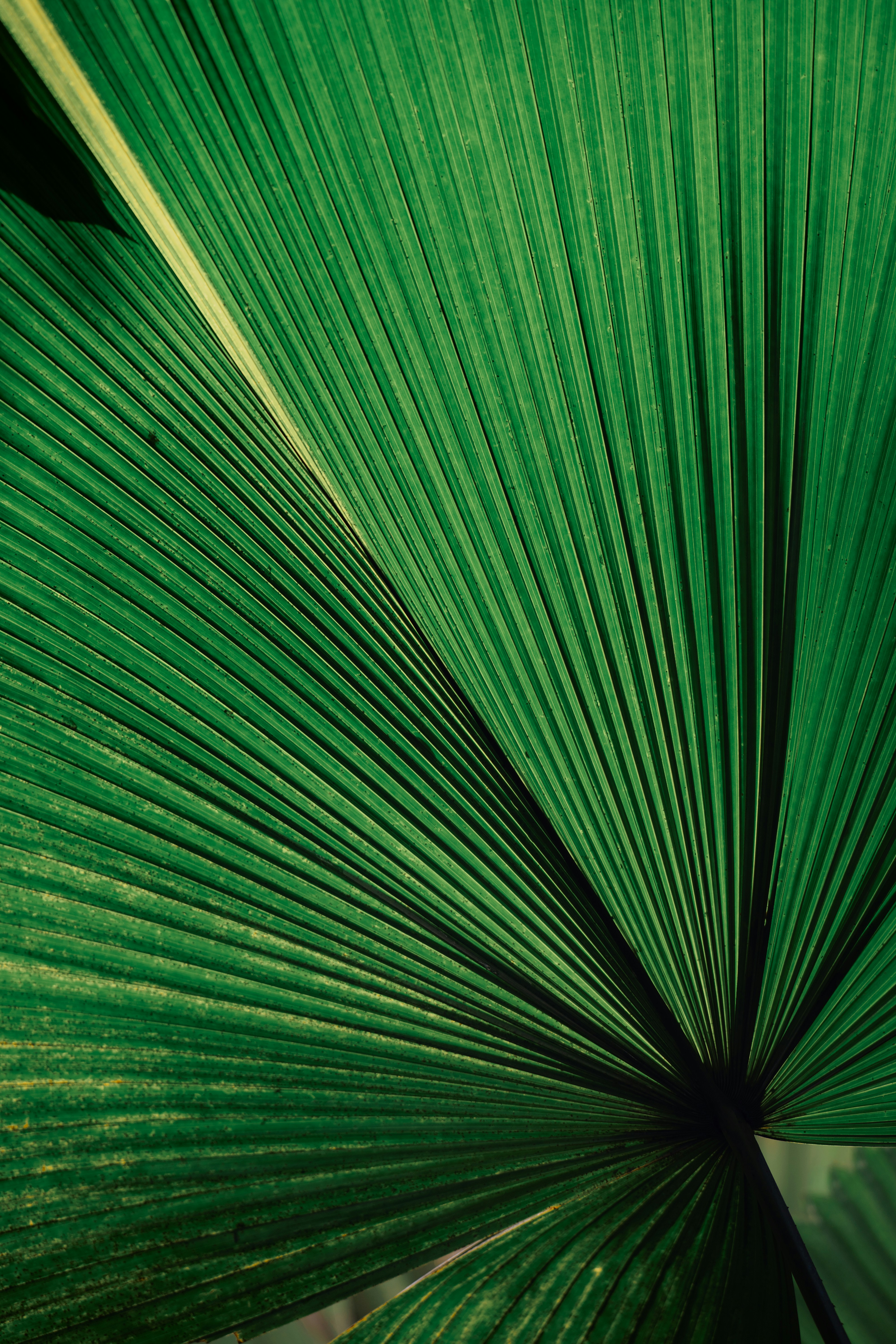 Photo by dermanuskript