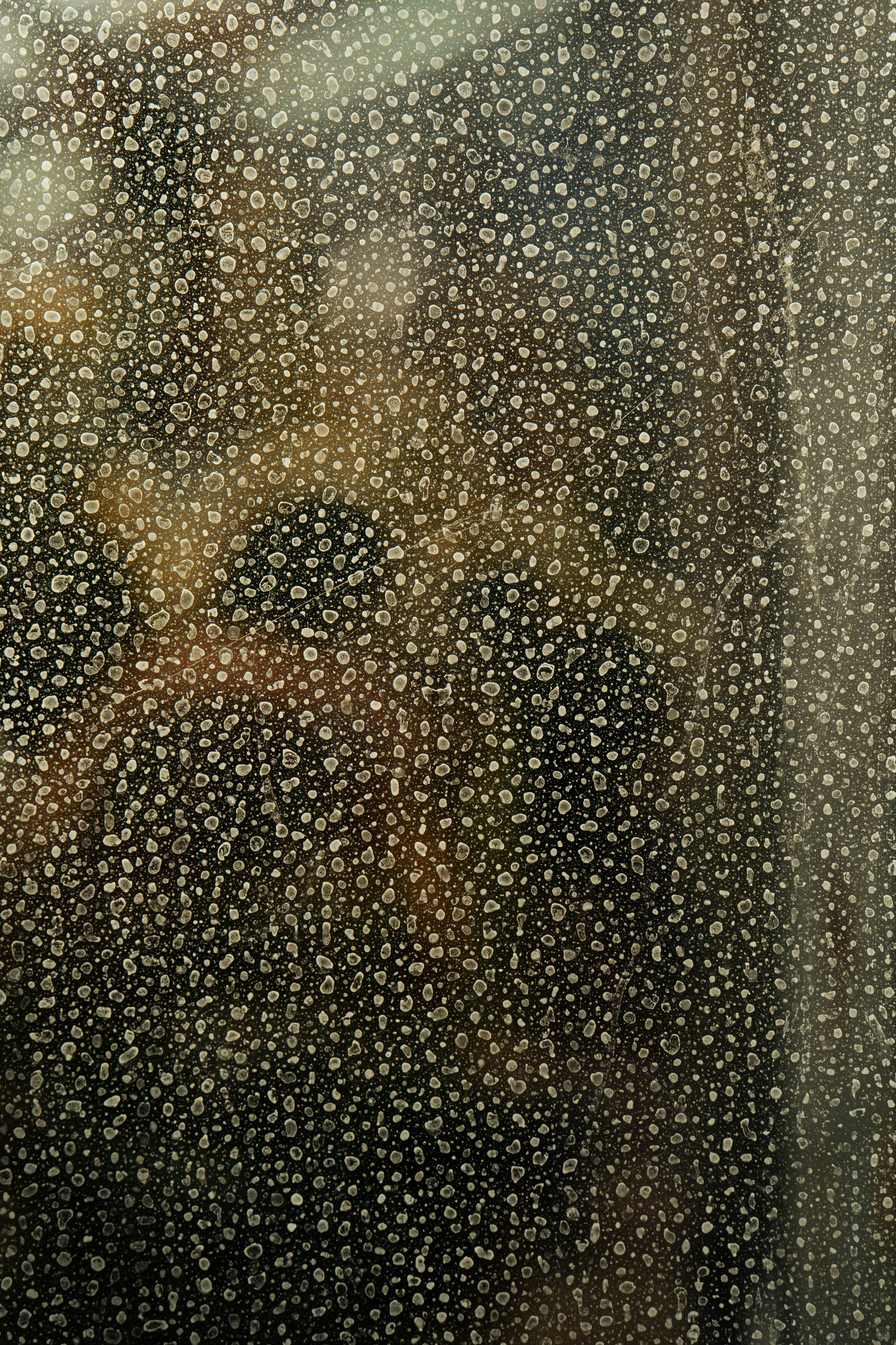 Blurred bokeh lights in a dark, textured background