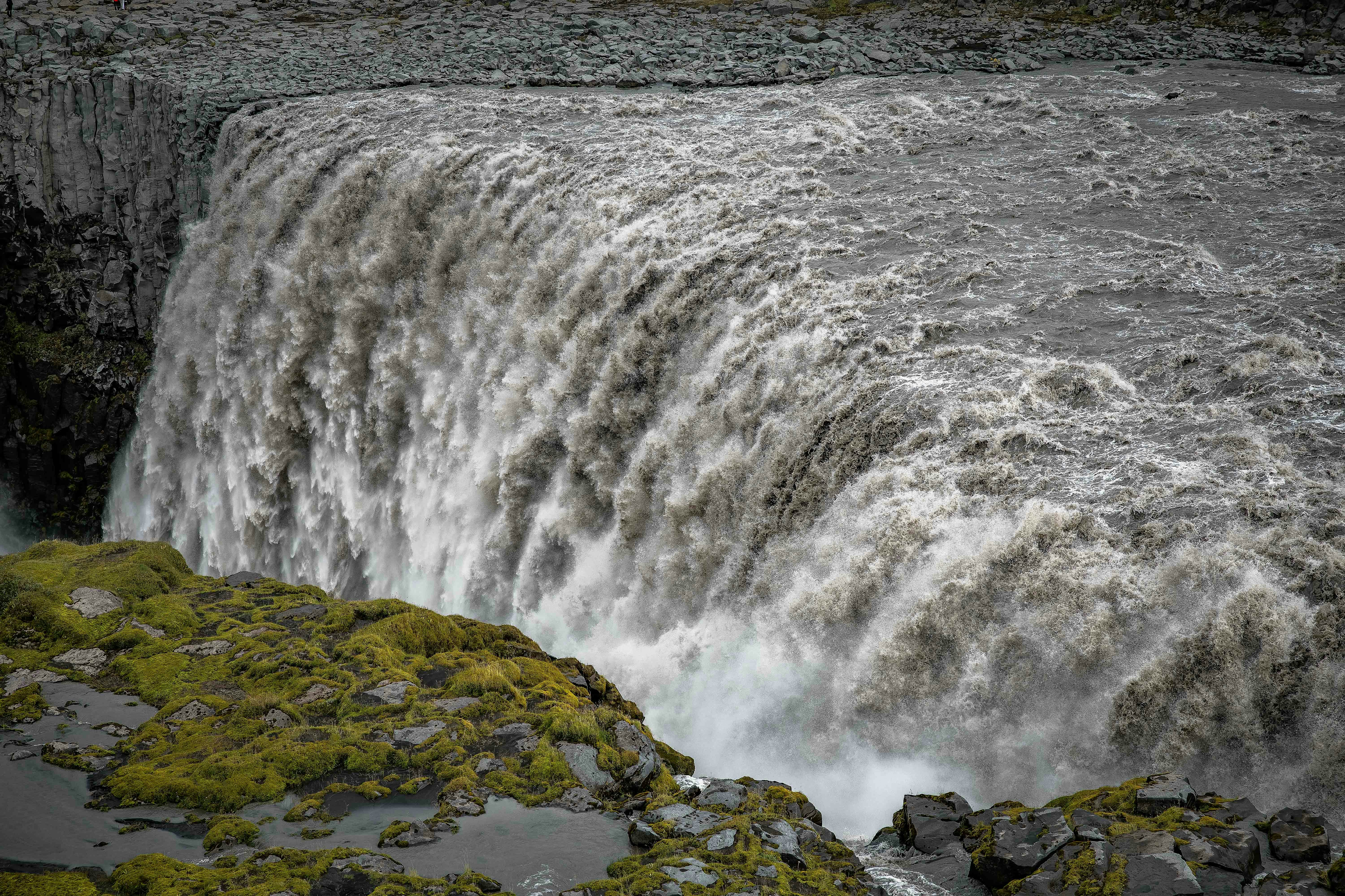 Photo by danny_rienecker