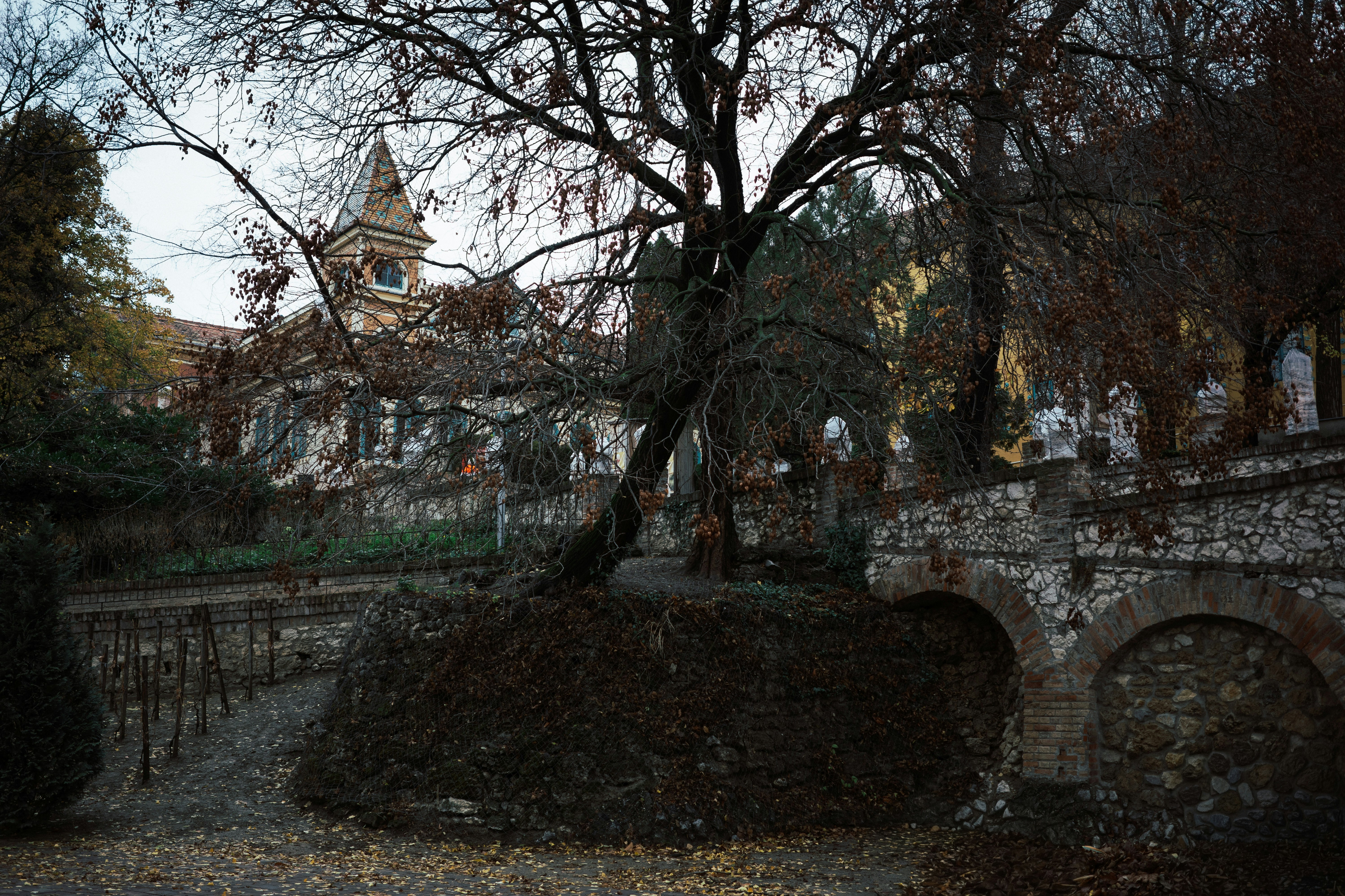 Old stone bridge and building with a spire