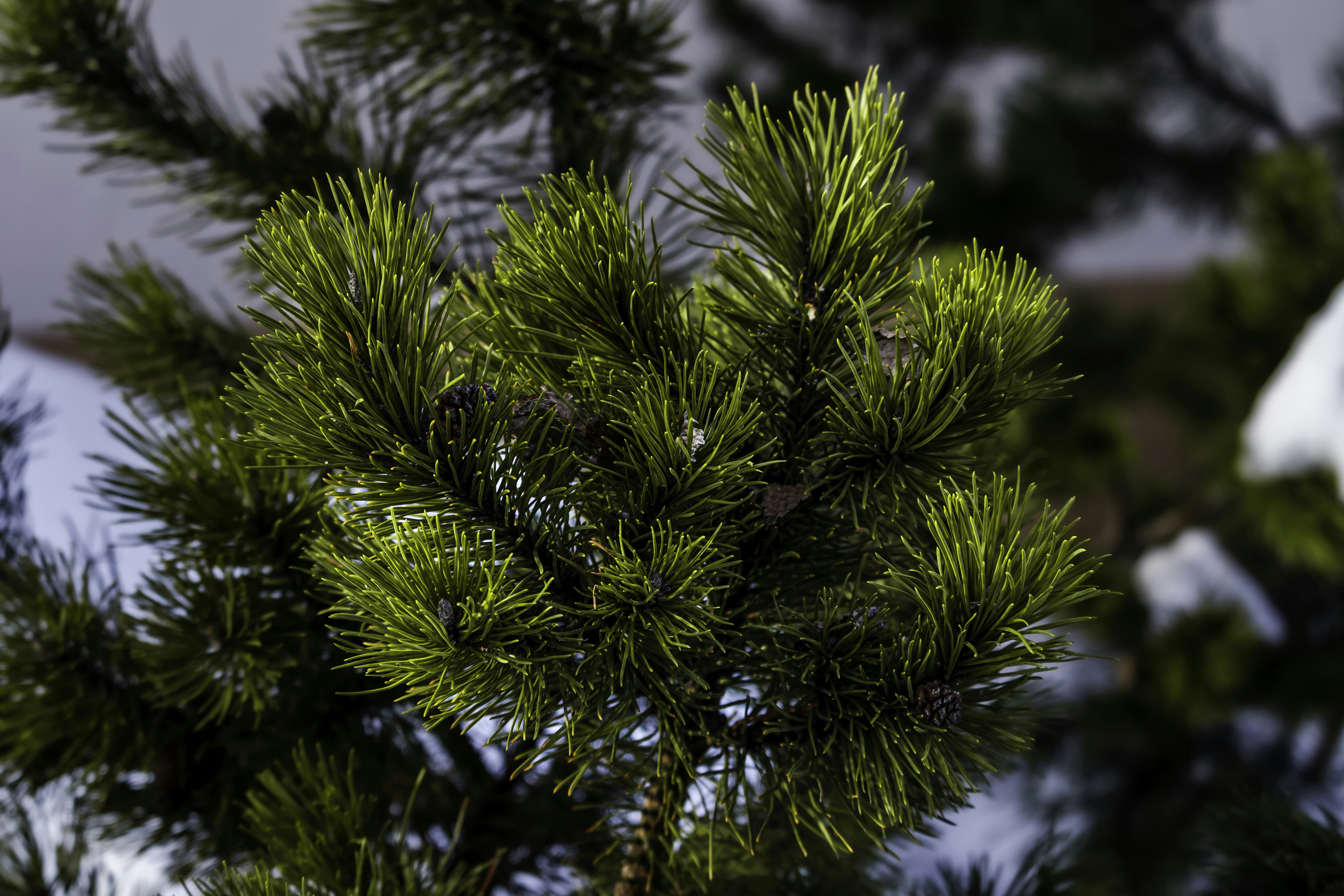 Photo by sayoox_photo