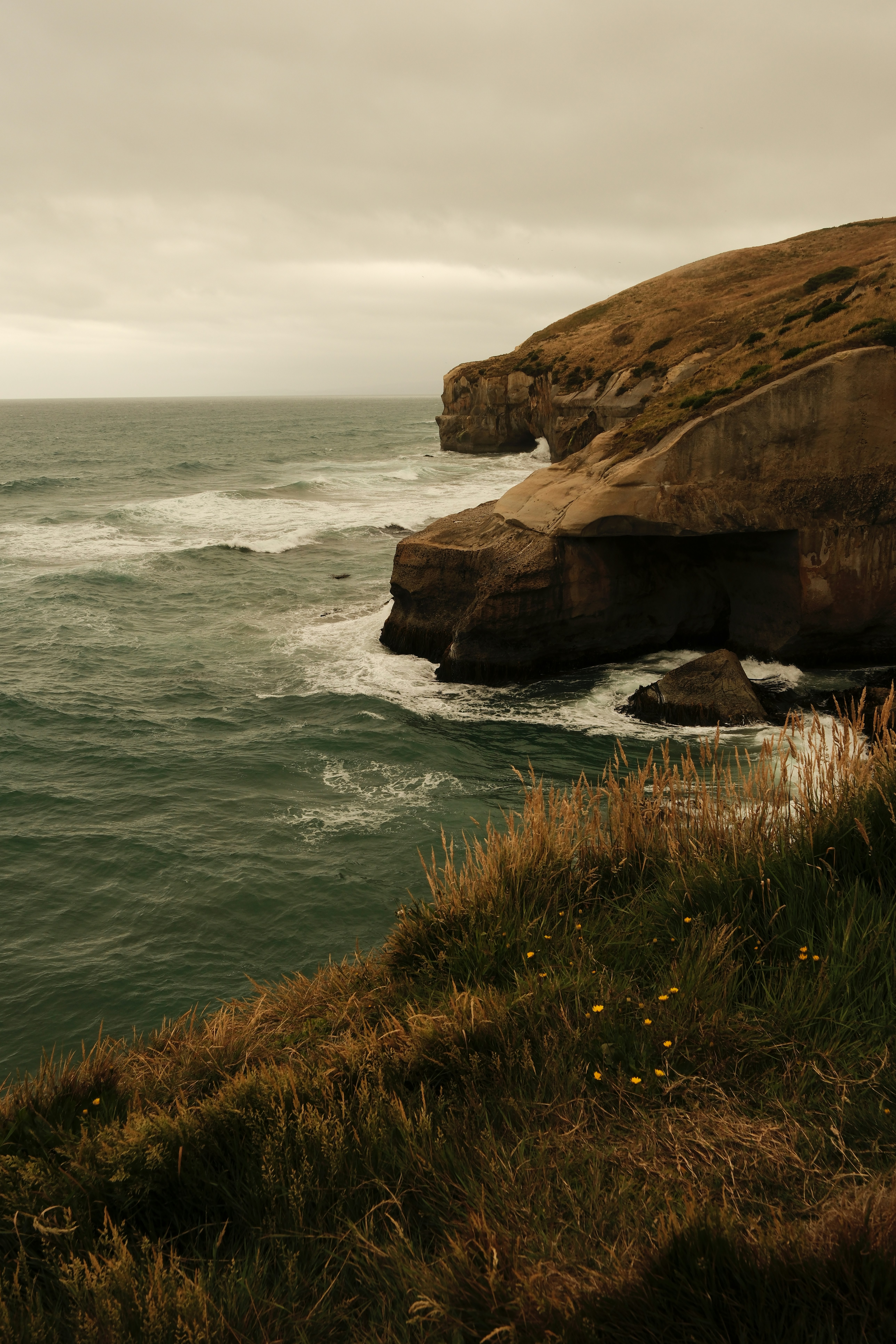 Photo by ginkgoshutter