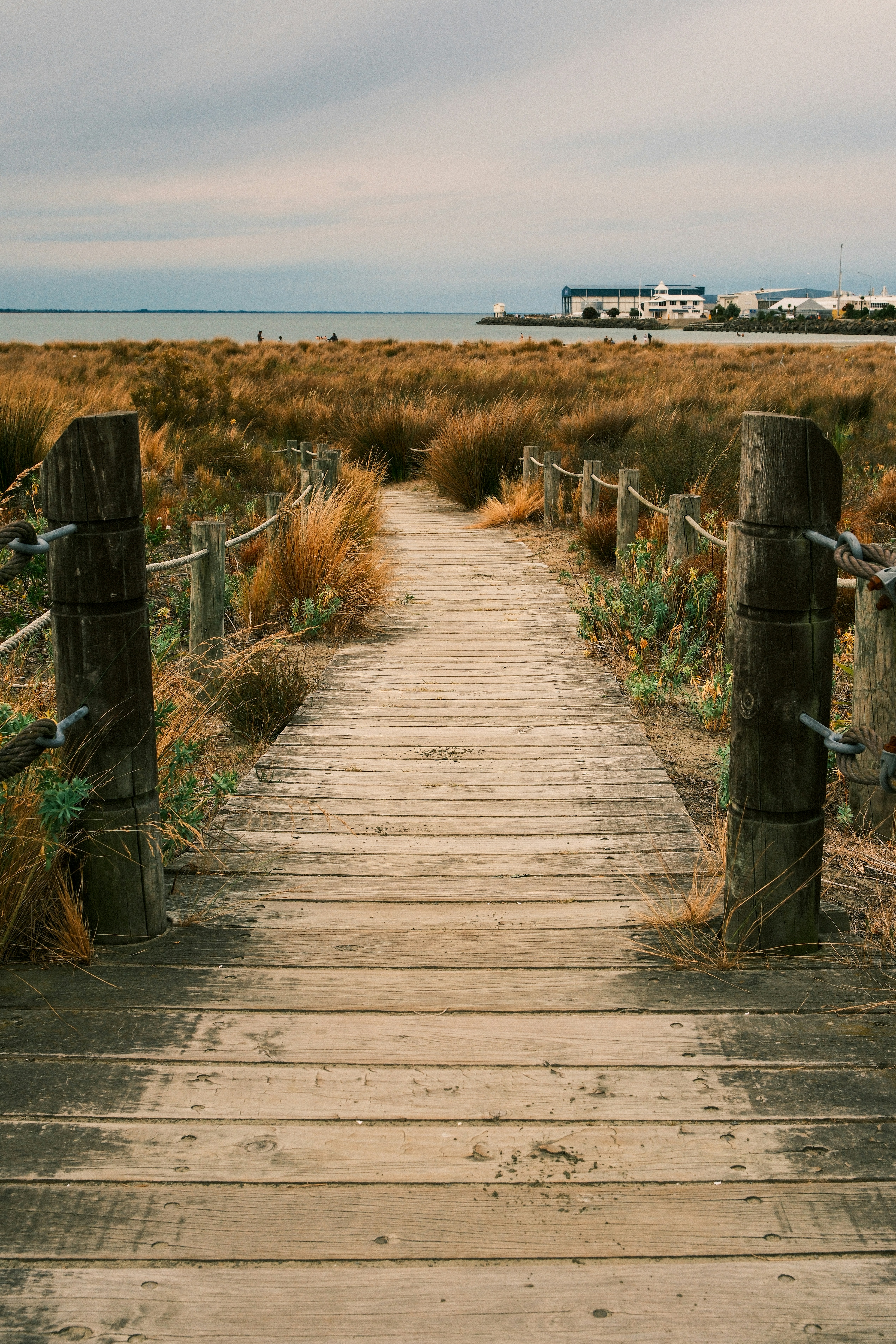 Photo by ginkgoshutter