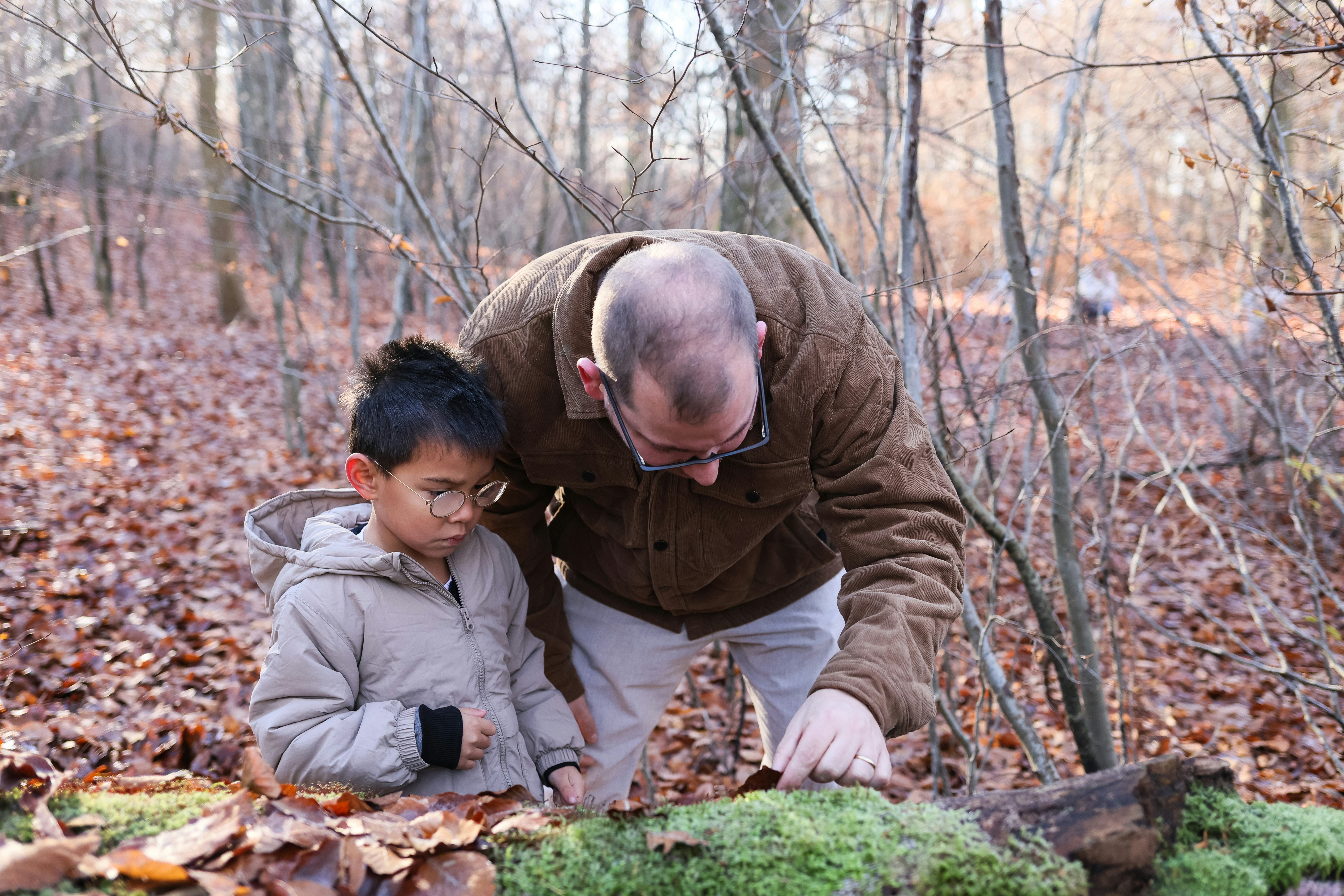 Hombre y niño explorando el suelo del bosque con troncos cubiertos de musgo.