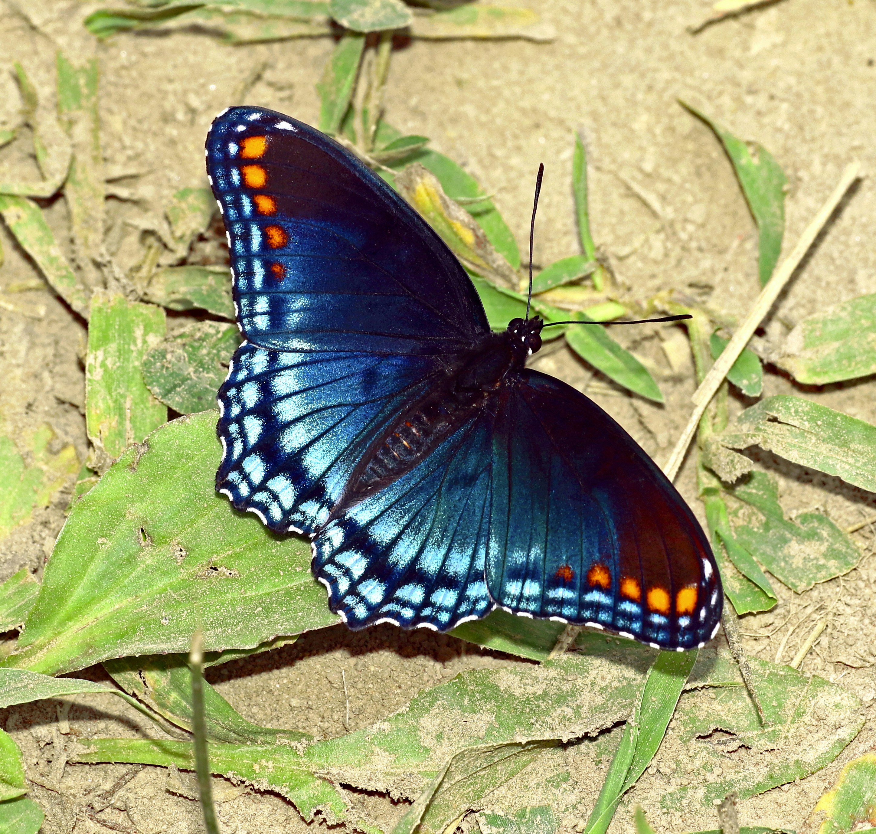 Photo by telliottmbamsc