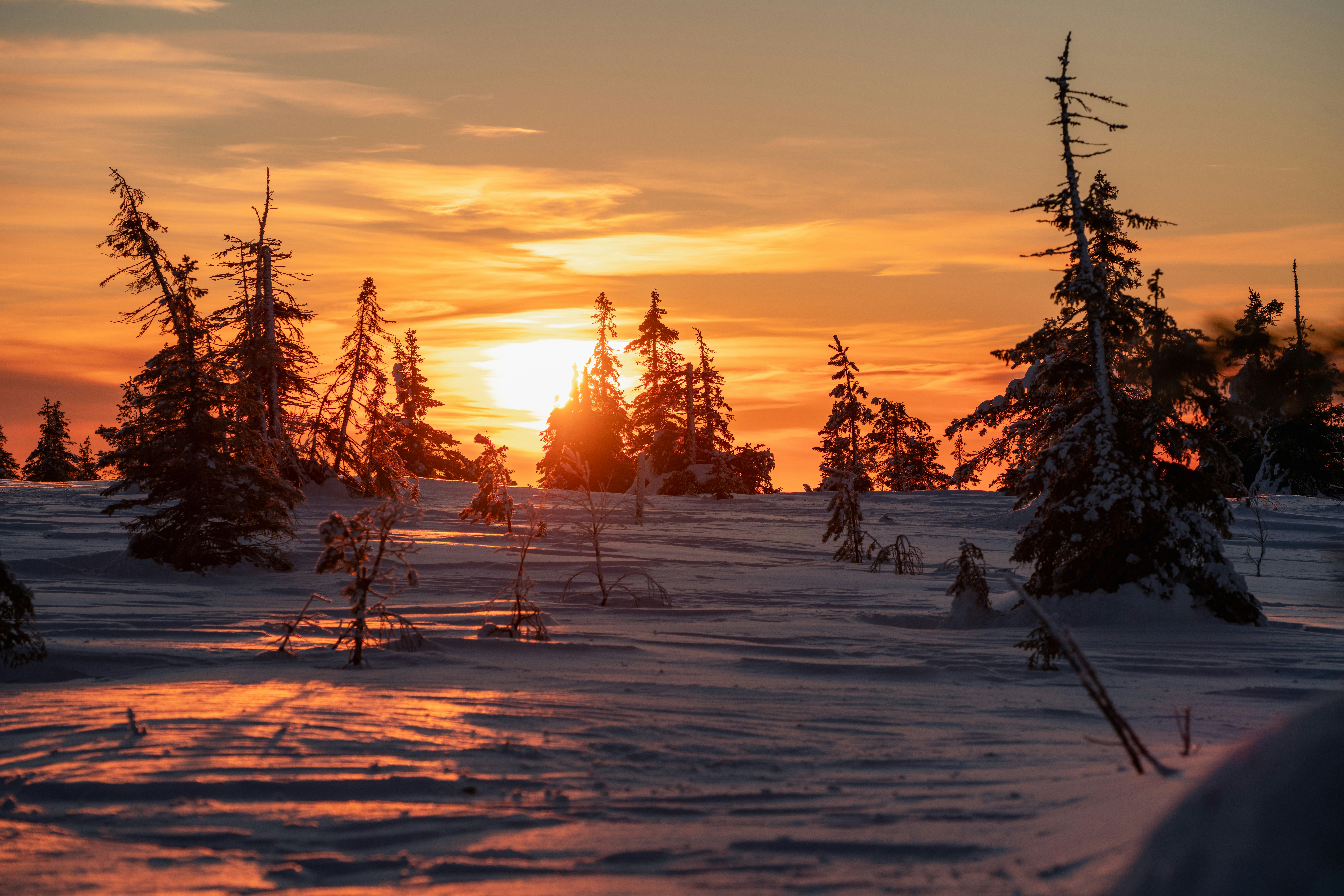 Photo by skyhung1228