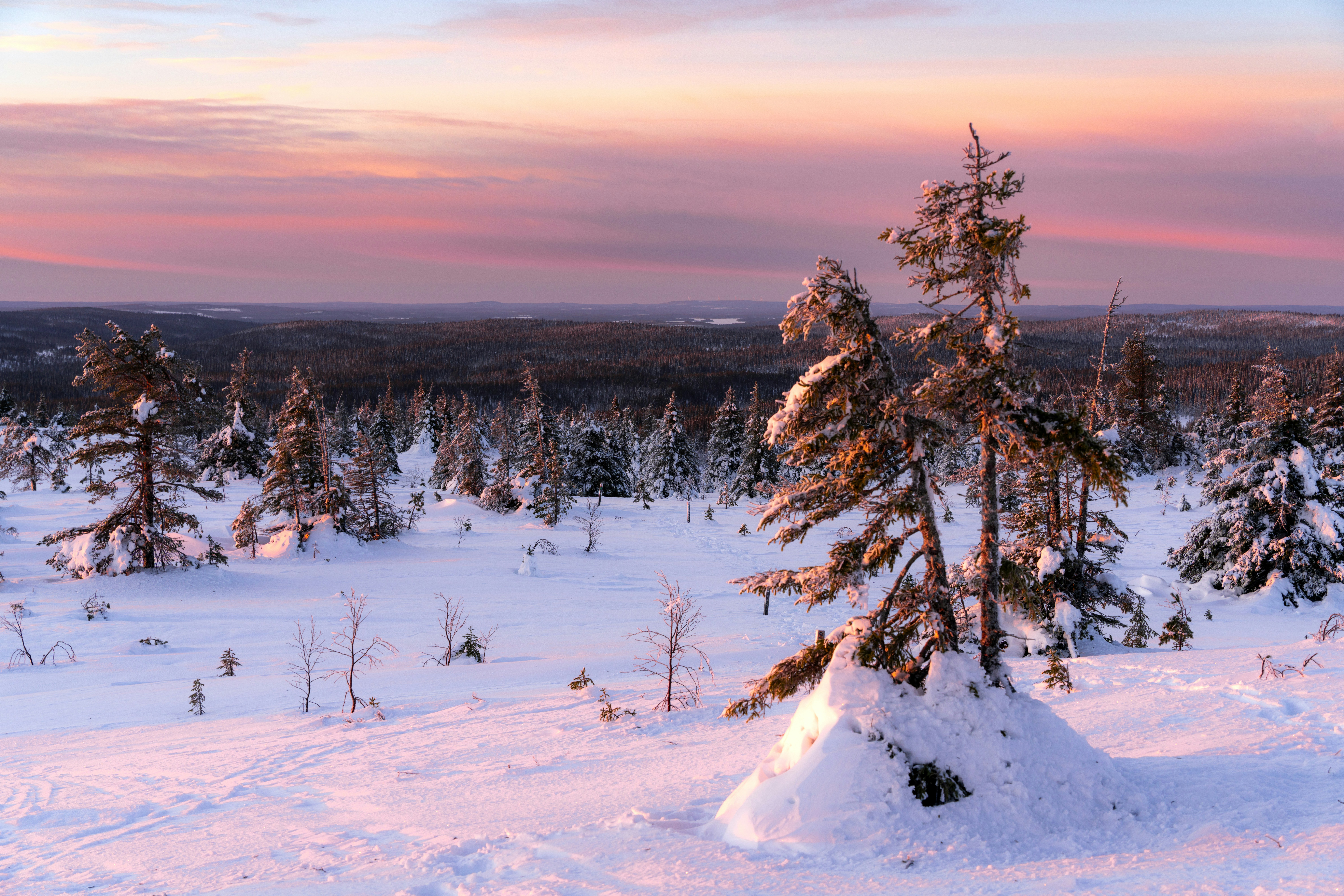 Stay online in the Finland with a prepaid eSIM from eSIMlii. Instant activation, no roaming charges, and reliable coverage.